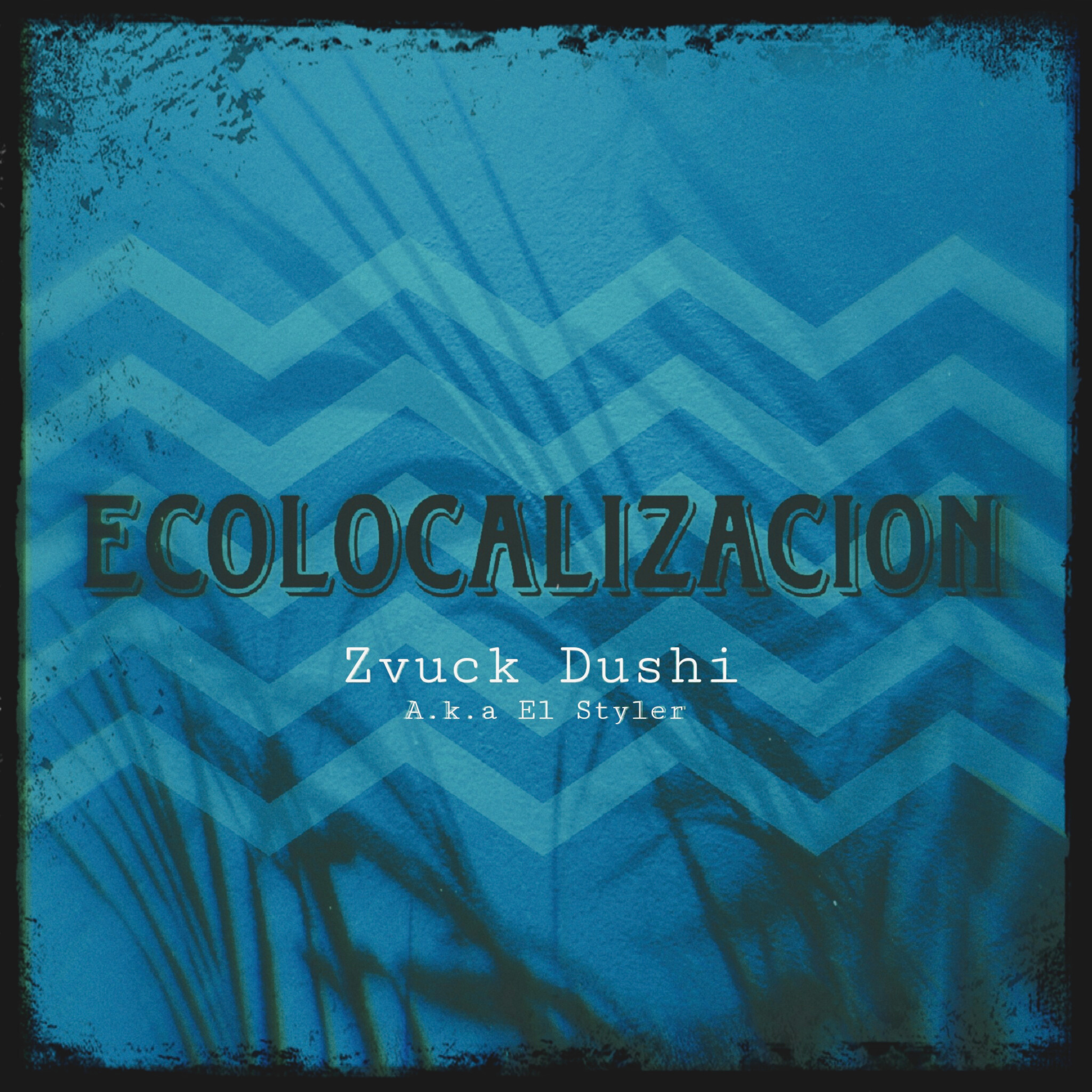 Ecolocalizacion artwork