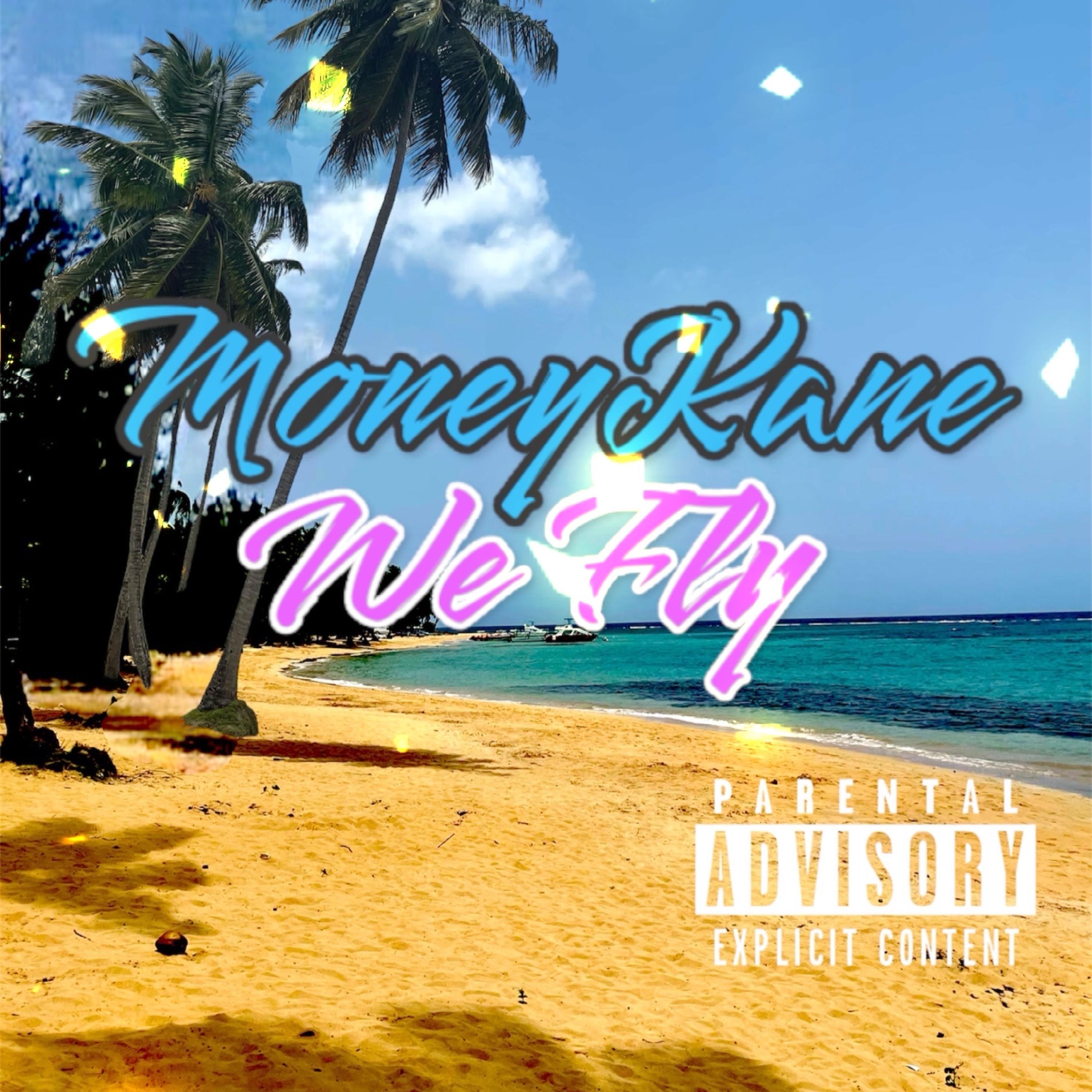 We Fly artwork
