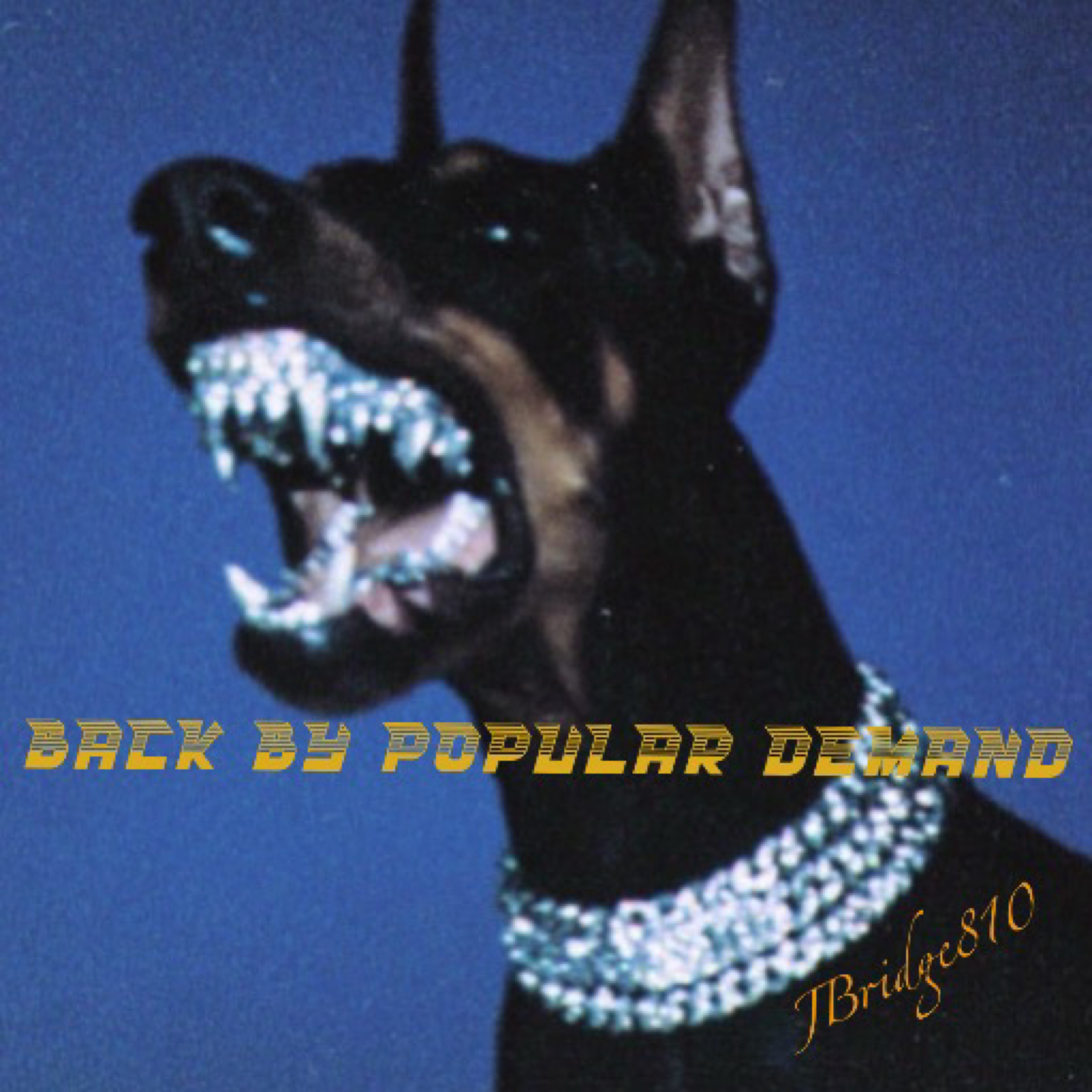 Back By Popular Demand by JBridge810 cover art