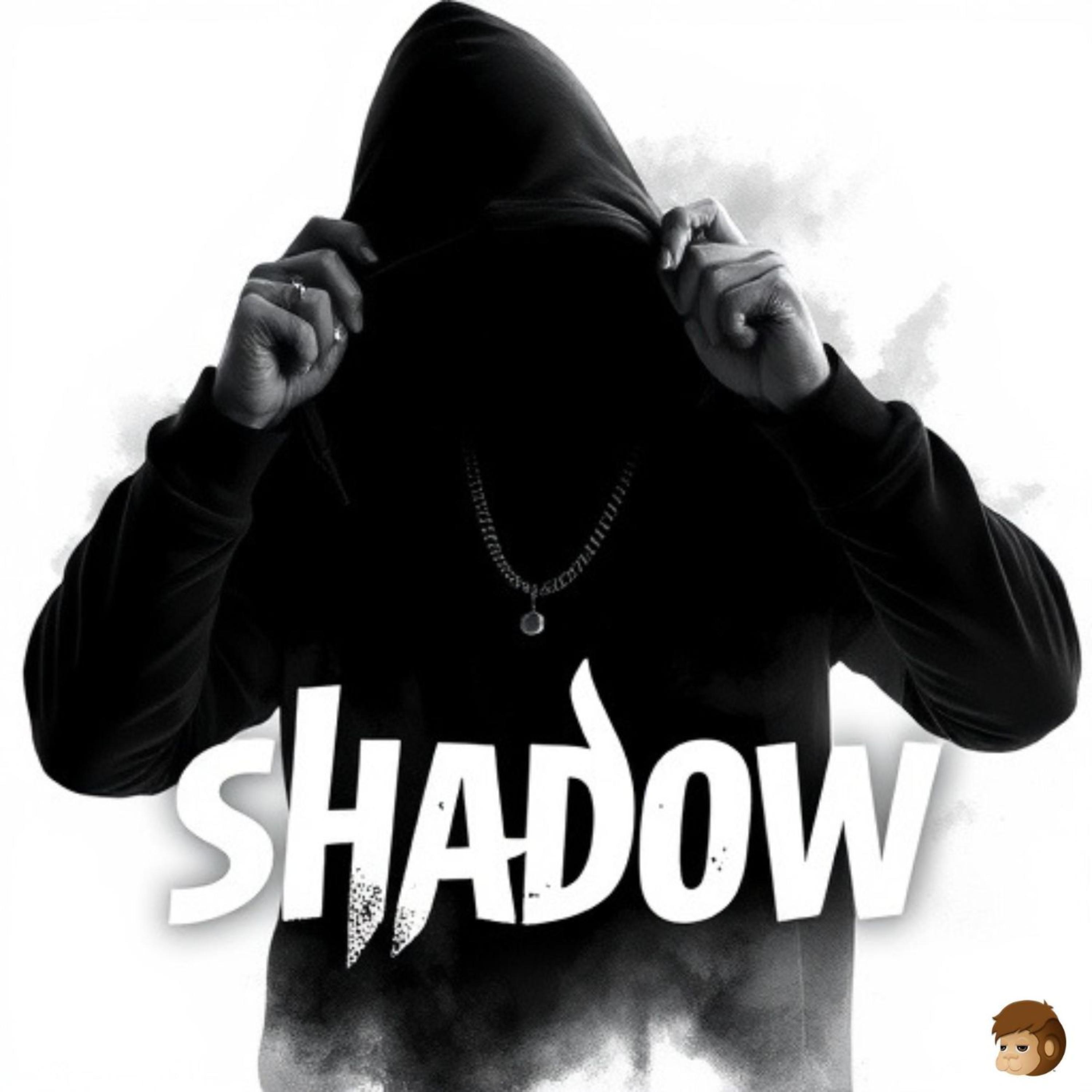 Shadow artwork