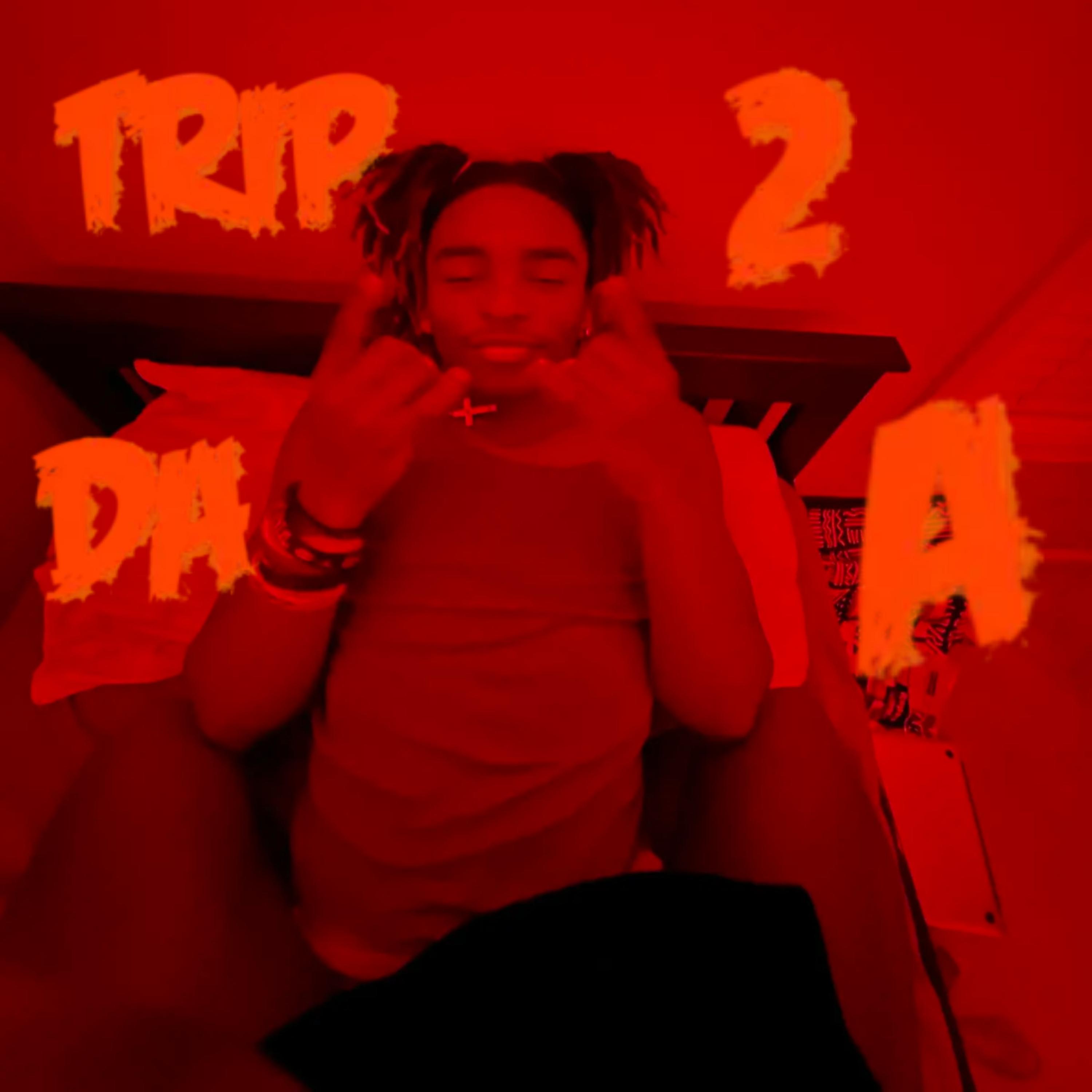 Trip 2 Da A artwork