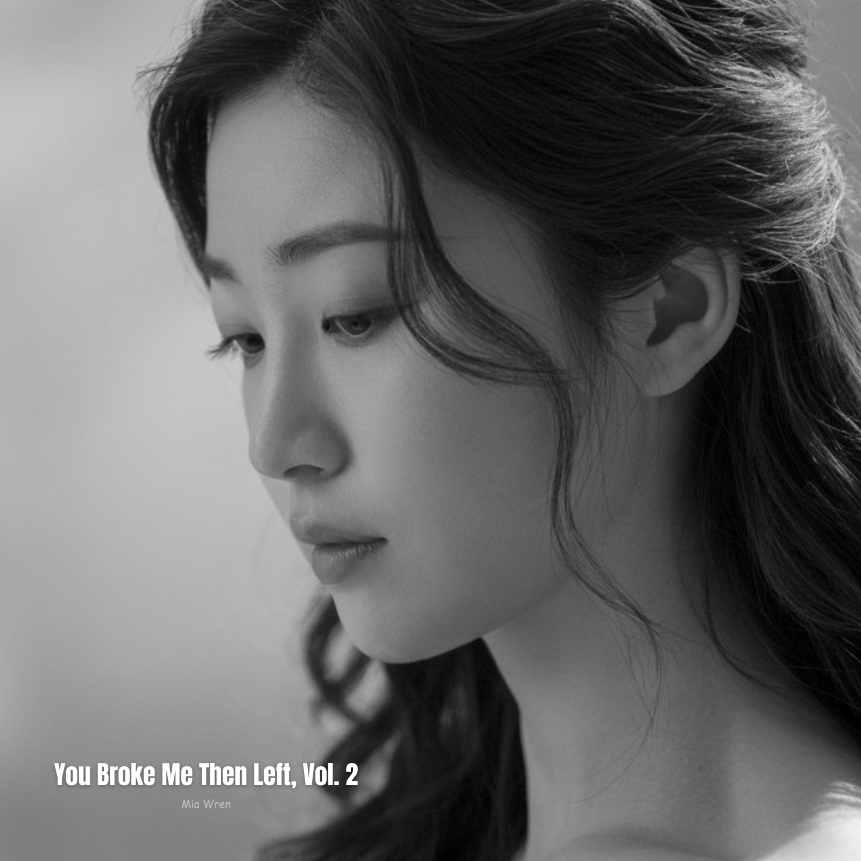 You Broke Me Then Left, Vol. 2 artwork