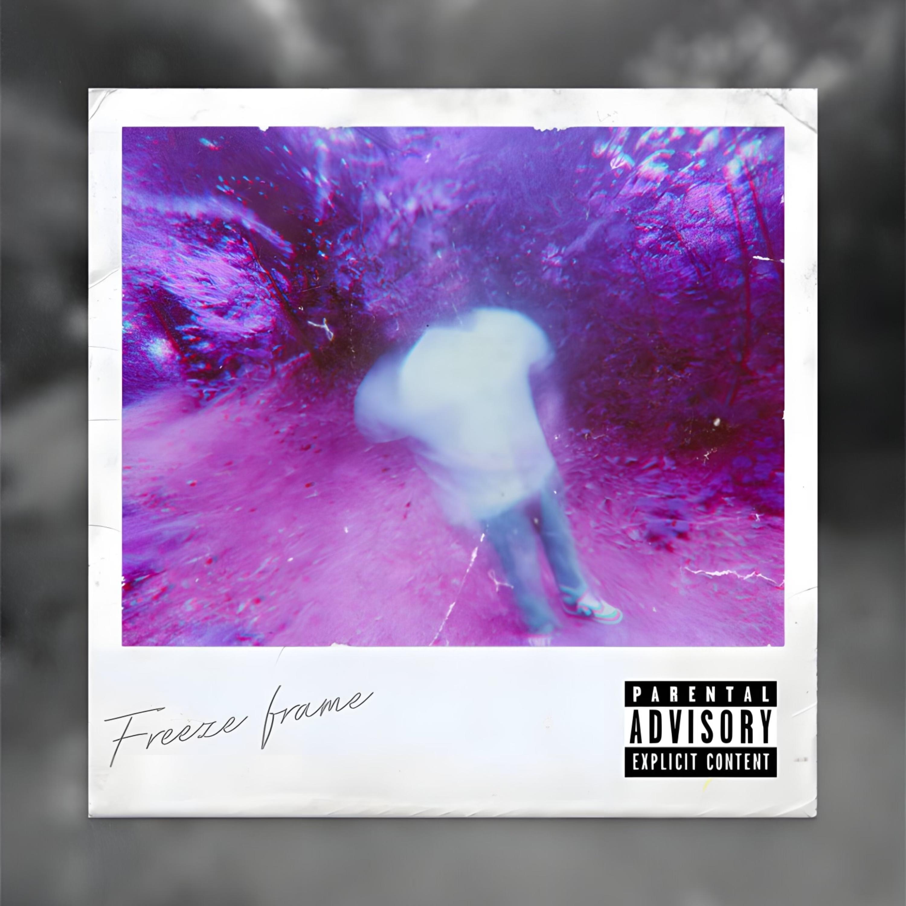 FreezeFrame artwork