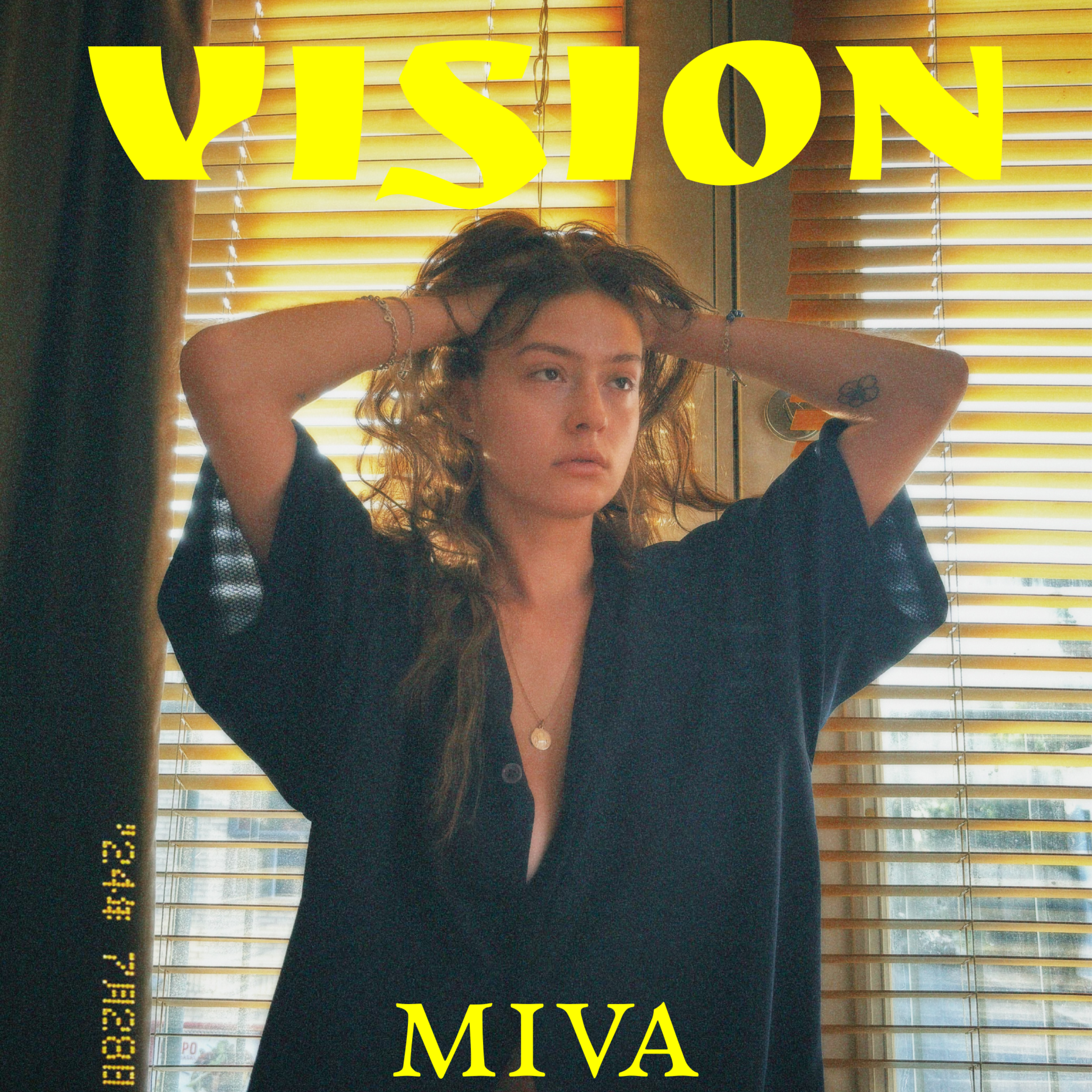 VISION artwork