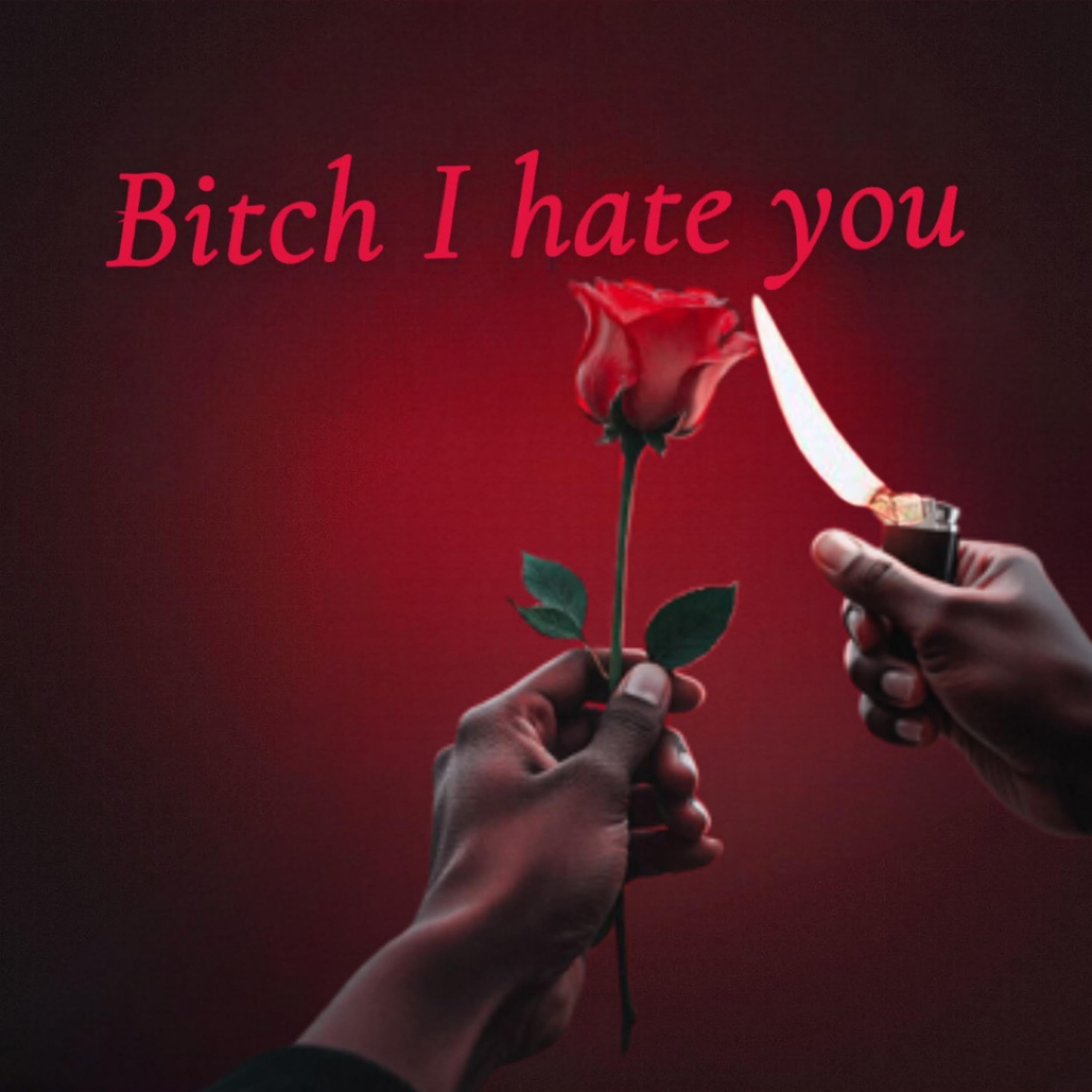 Bitch I hate you artwork