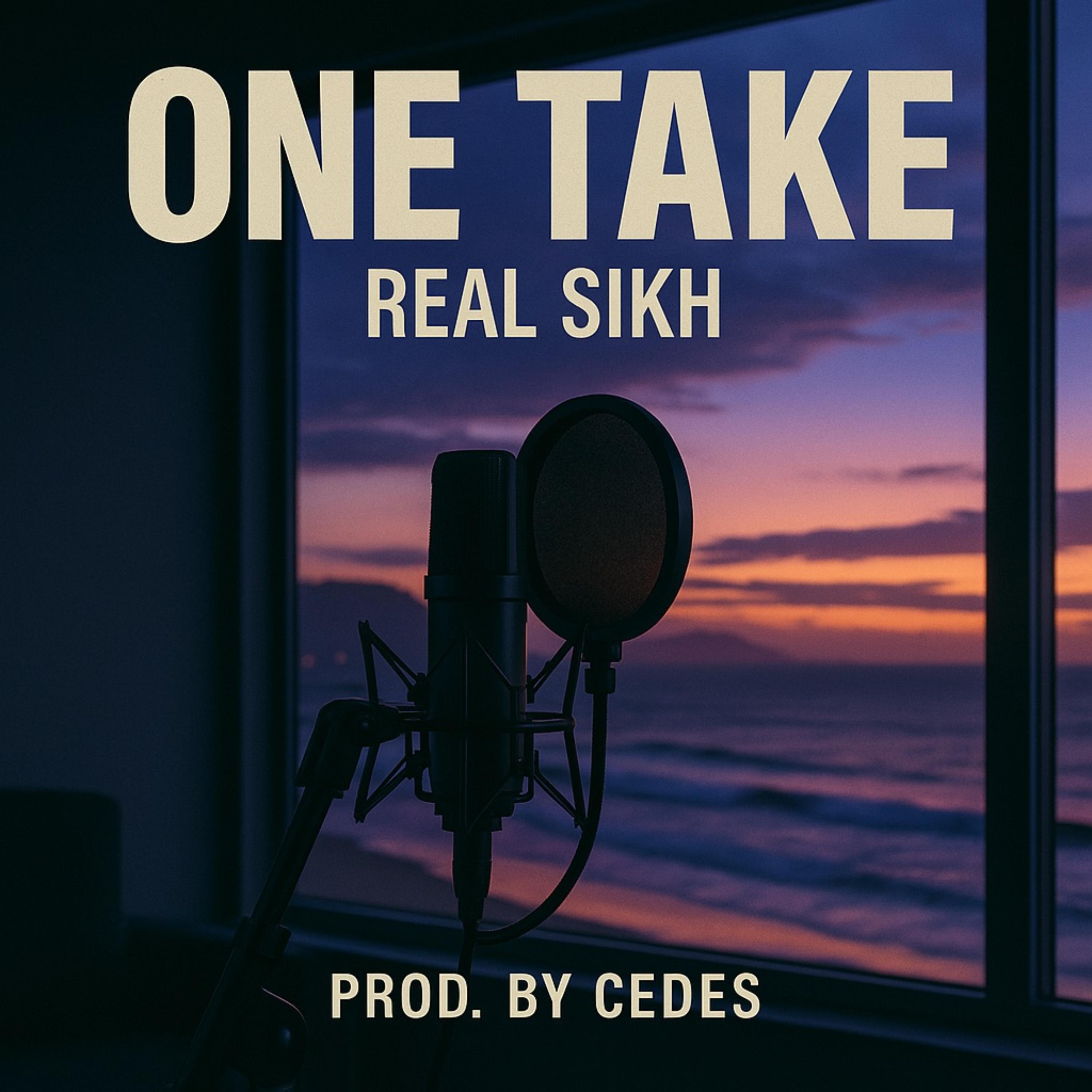 One Take by Real Sikh cover art