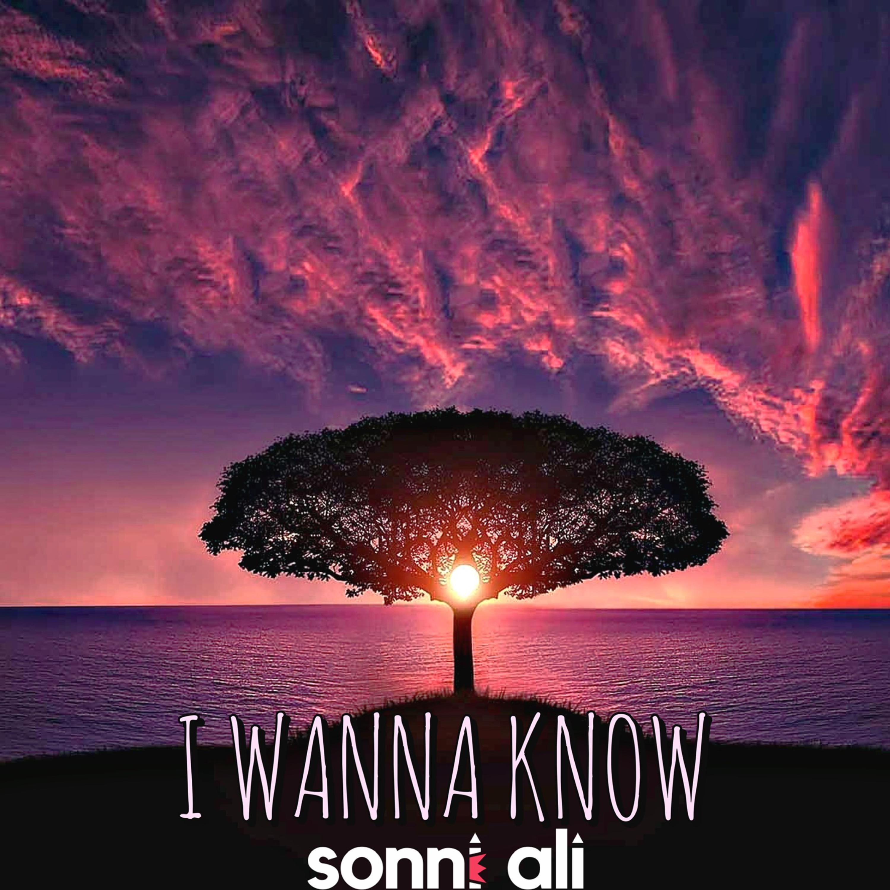 I WANNA KNOW by Sonni Ali cover art