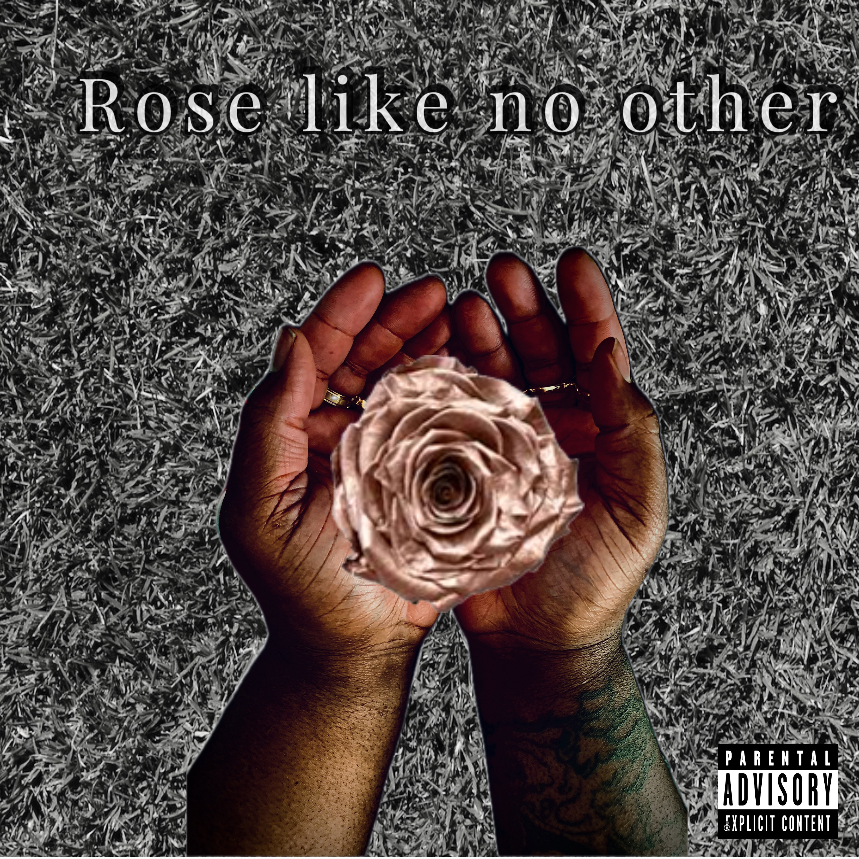 Rose Like No Other artwork