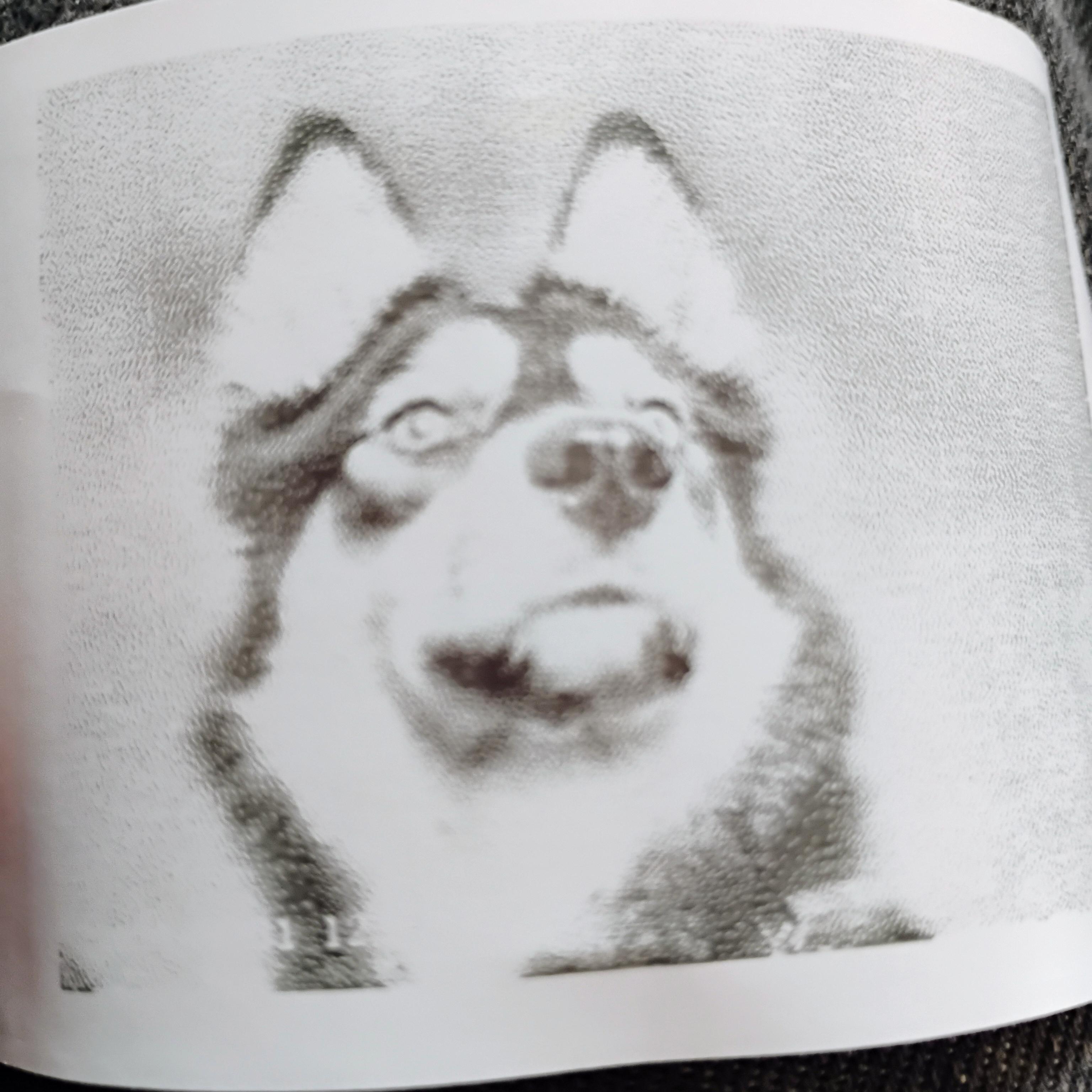 Daddy's Back artwork