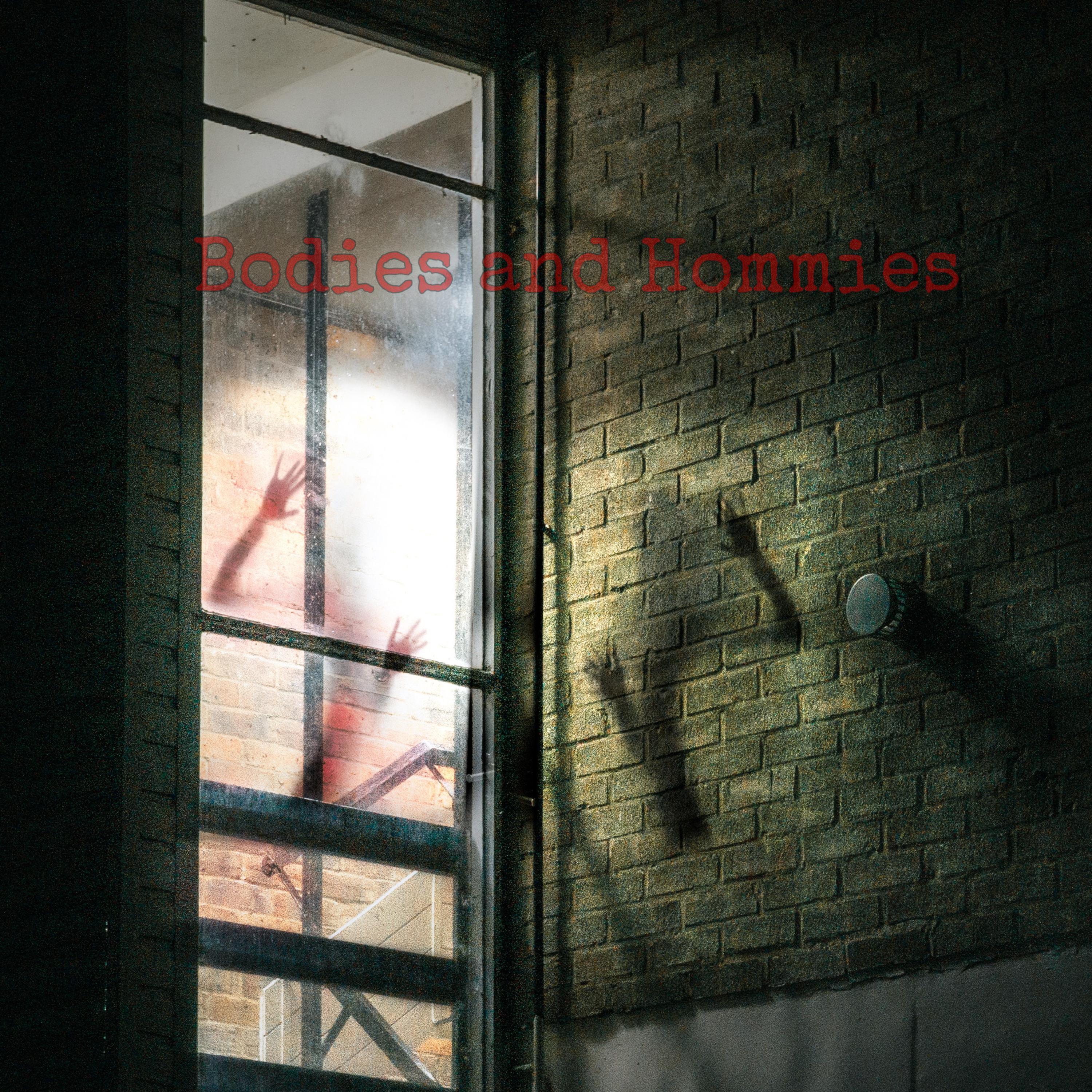Bodies And Hommies artwork