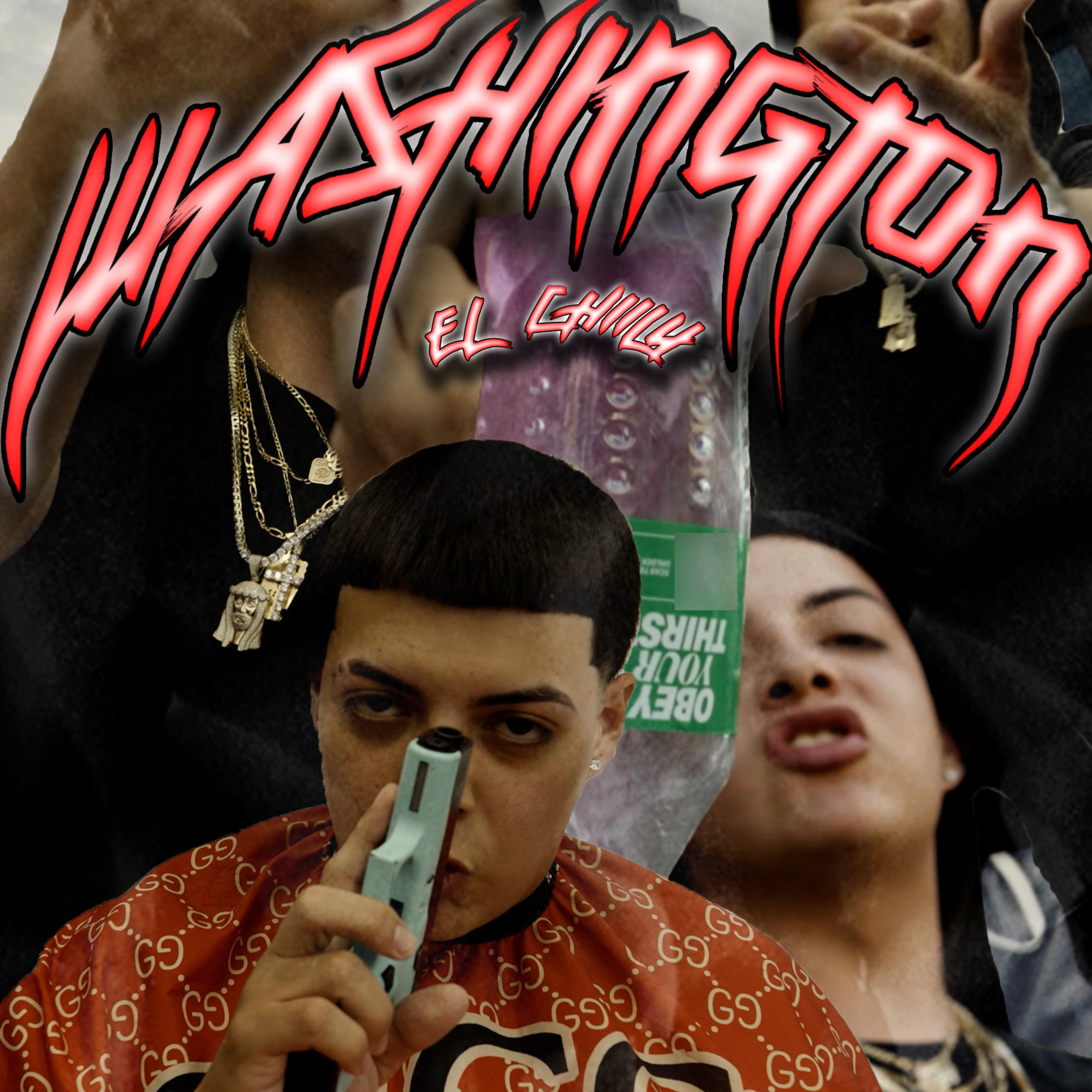 WASHINGTON artwork