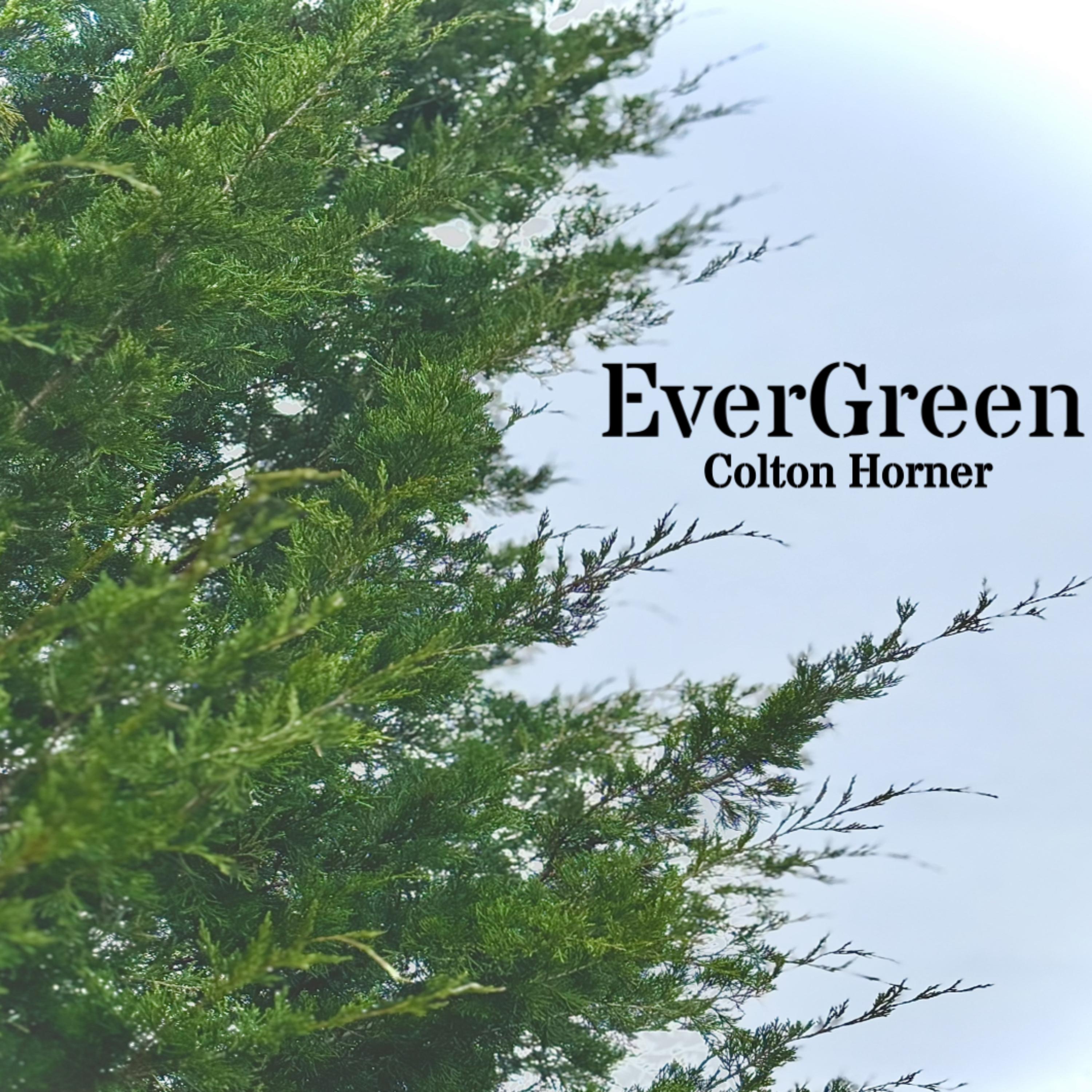EverGreen artwork