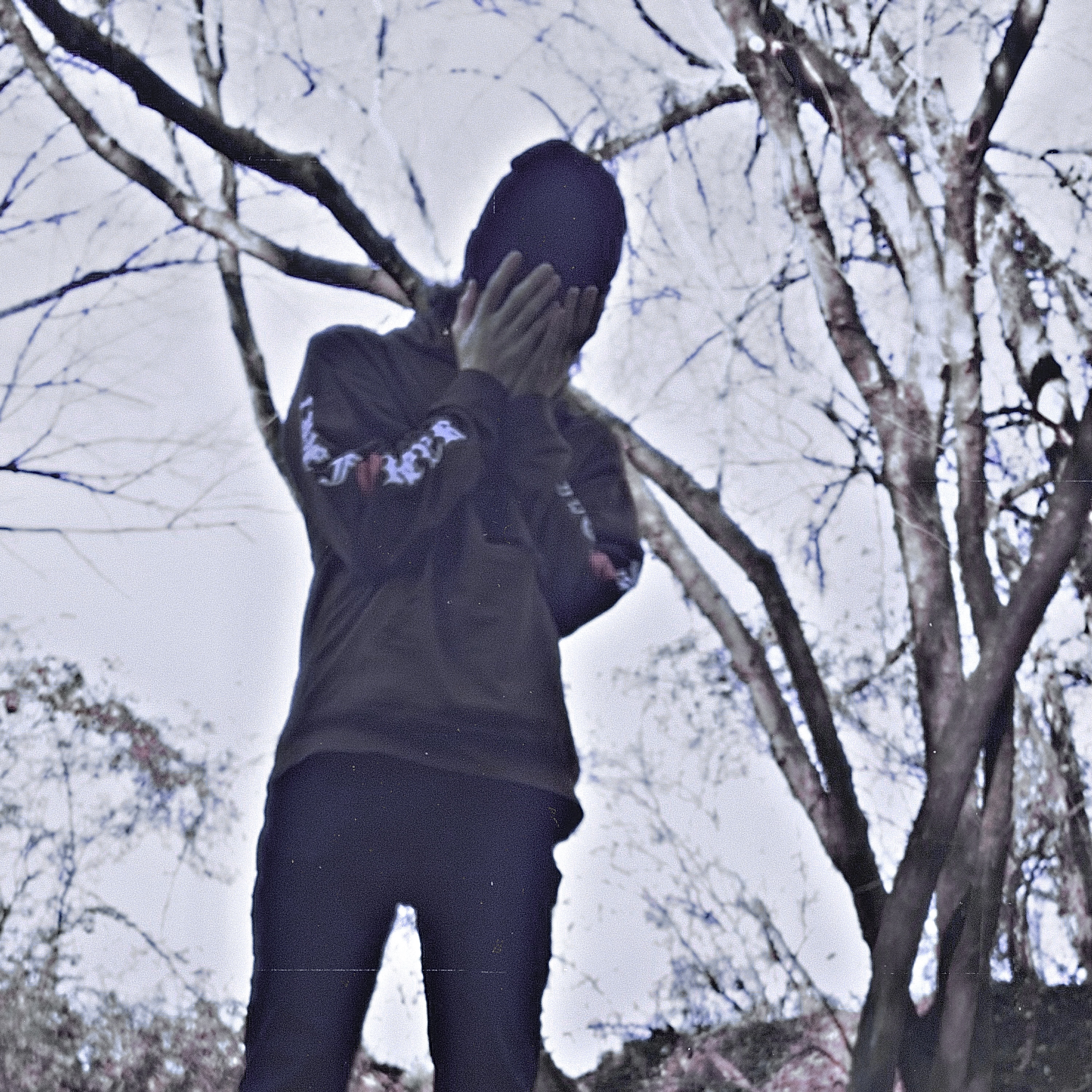 HooliganBornKing (HBK) artwork