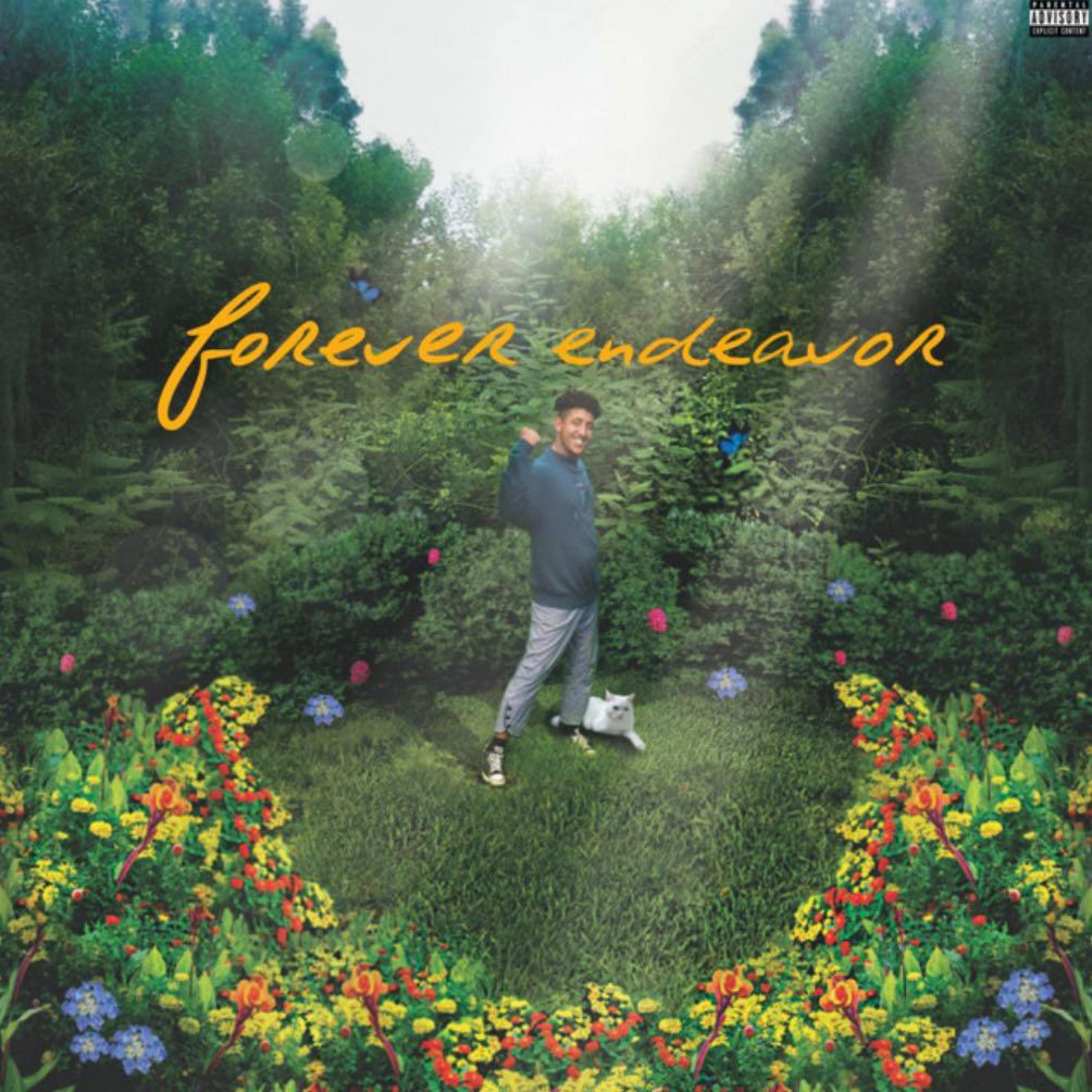 FOREVER ENDEAVOR artwork