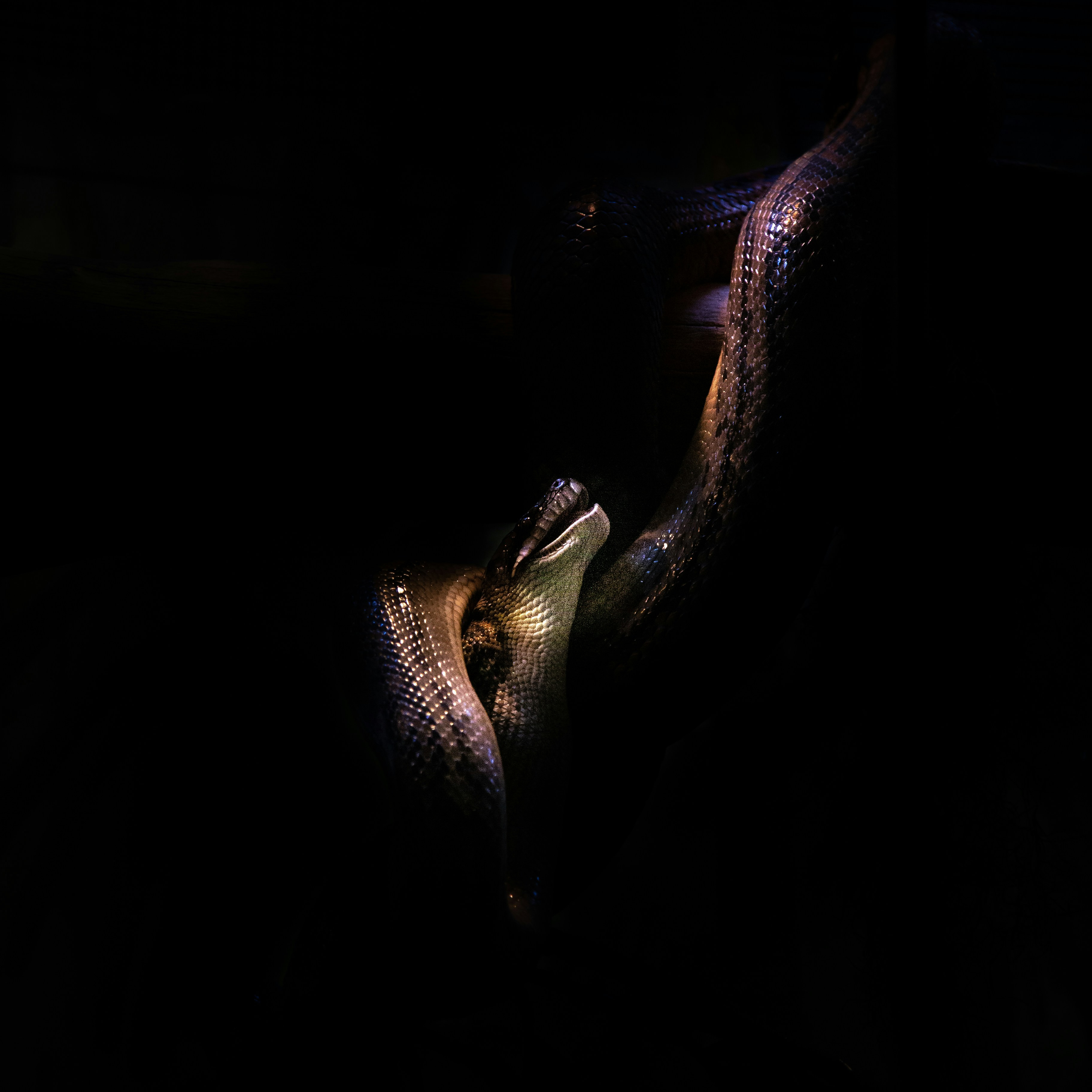 Ghost Of You artwork