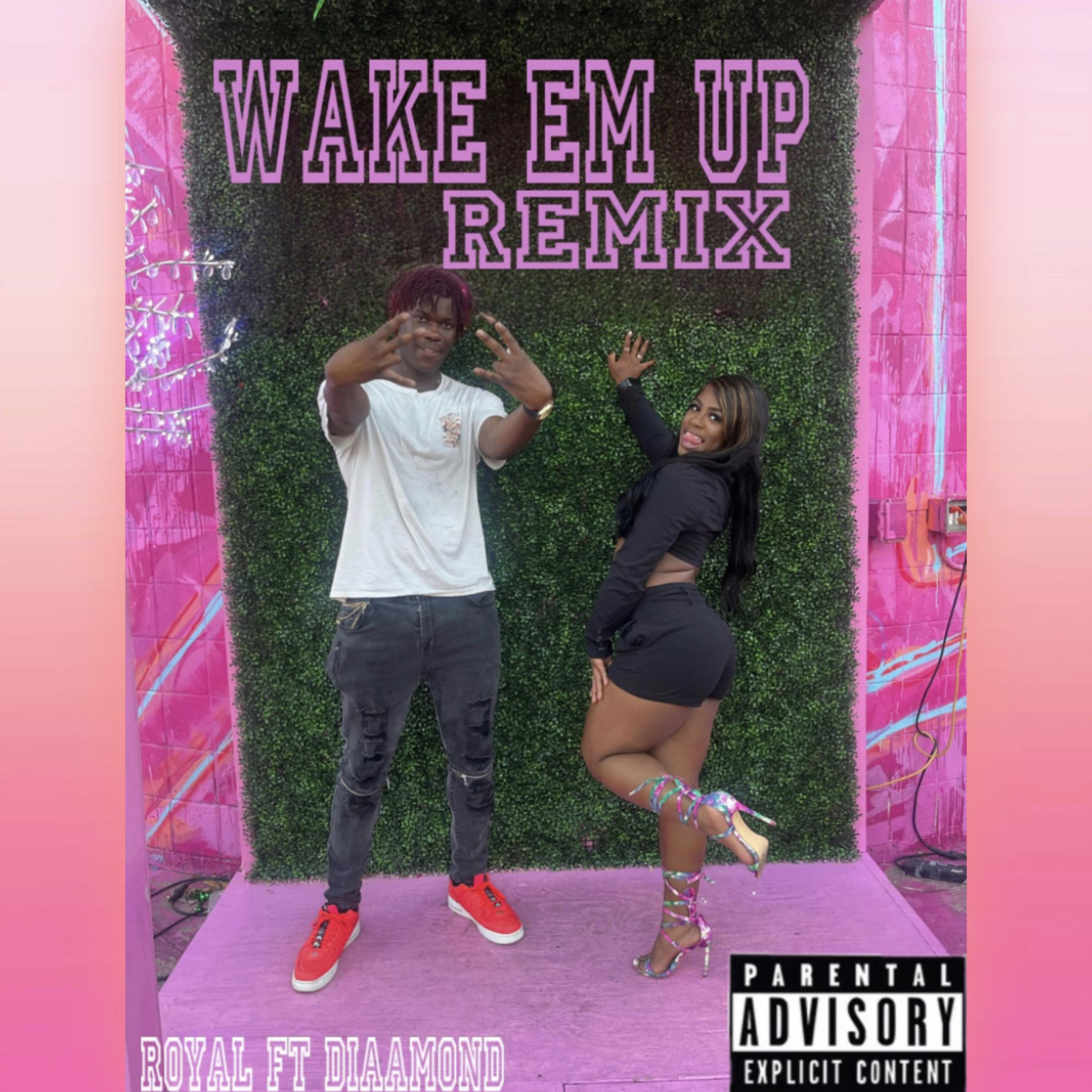 Wake Em Up (Remix) artwork