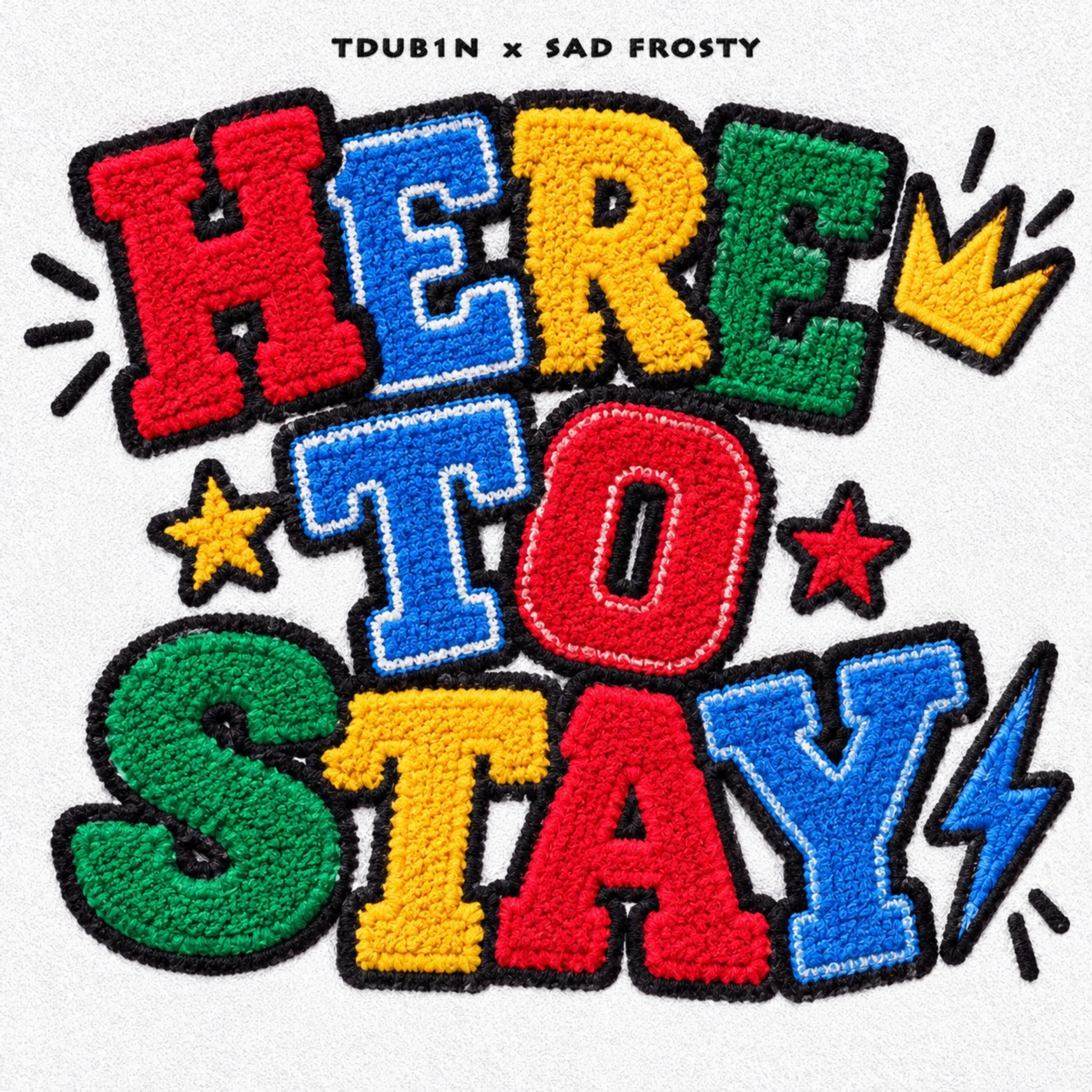 Here to stay by TDUB1N cover art