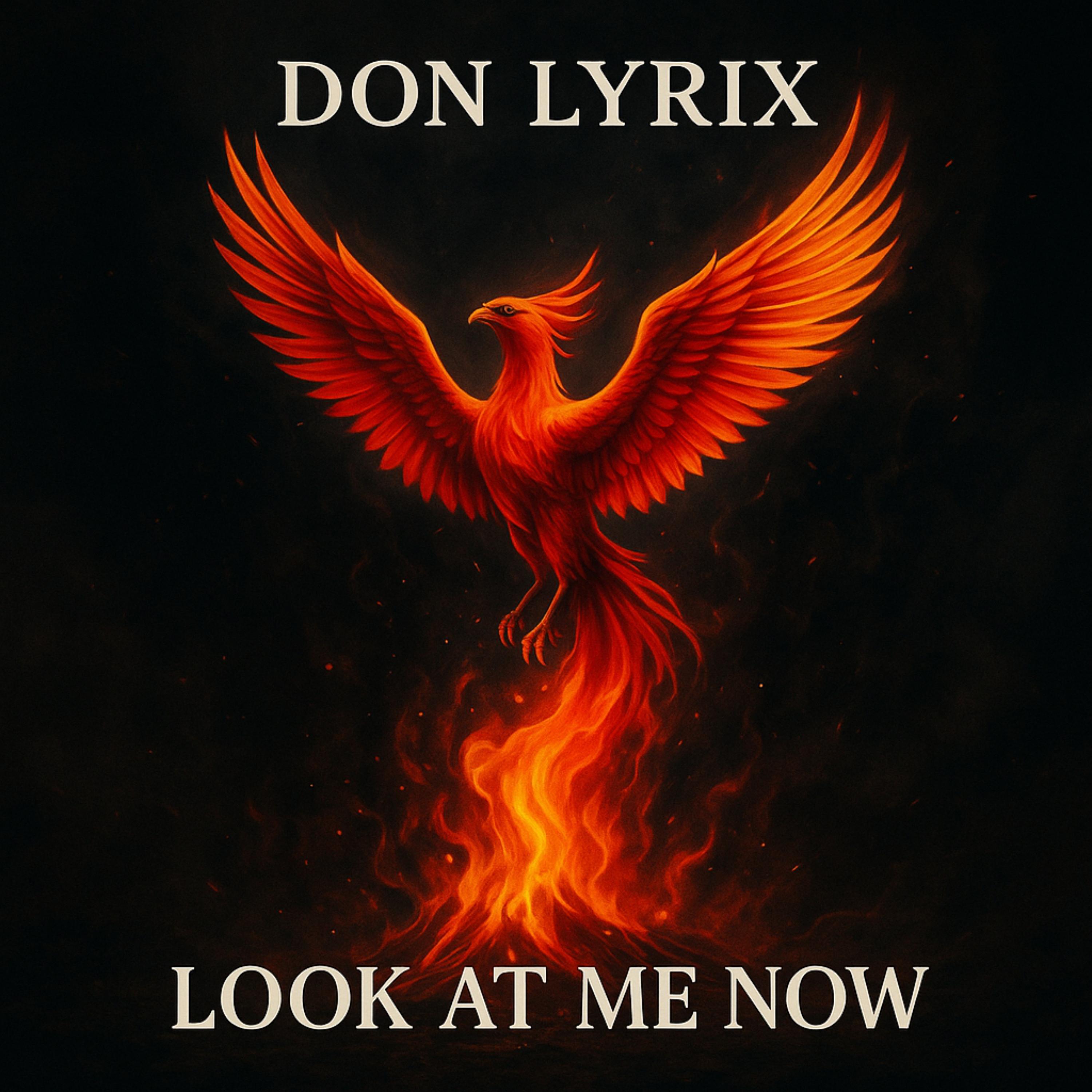 look-at-me-now artwork