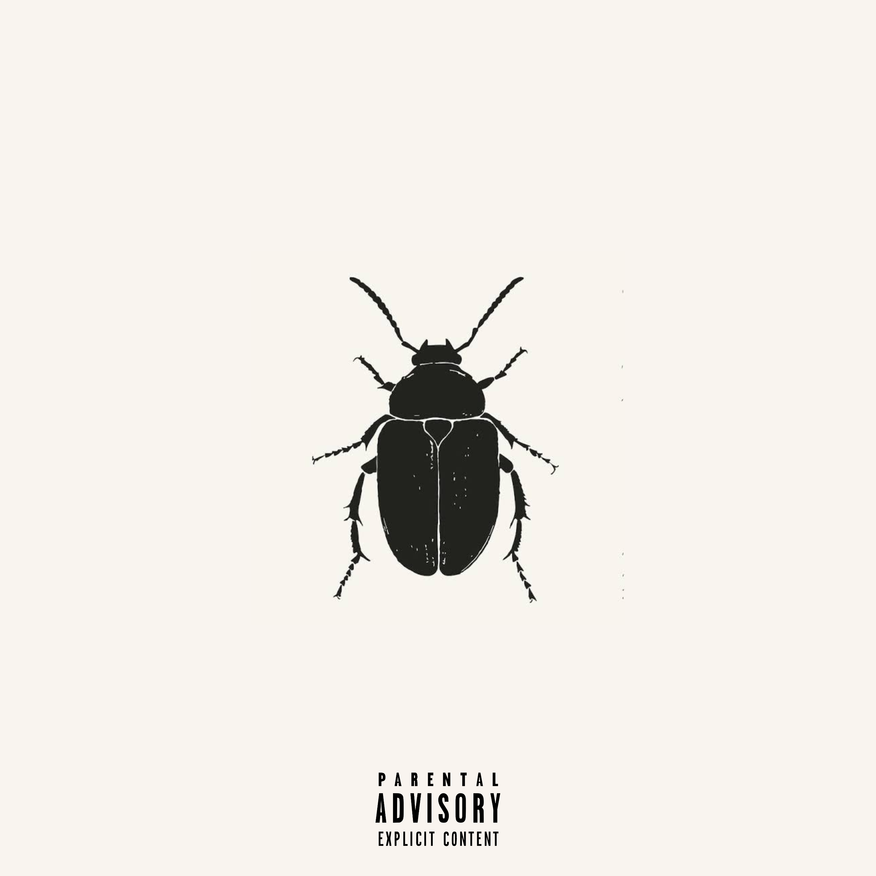 Beetle artwork