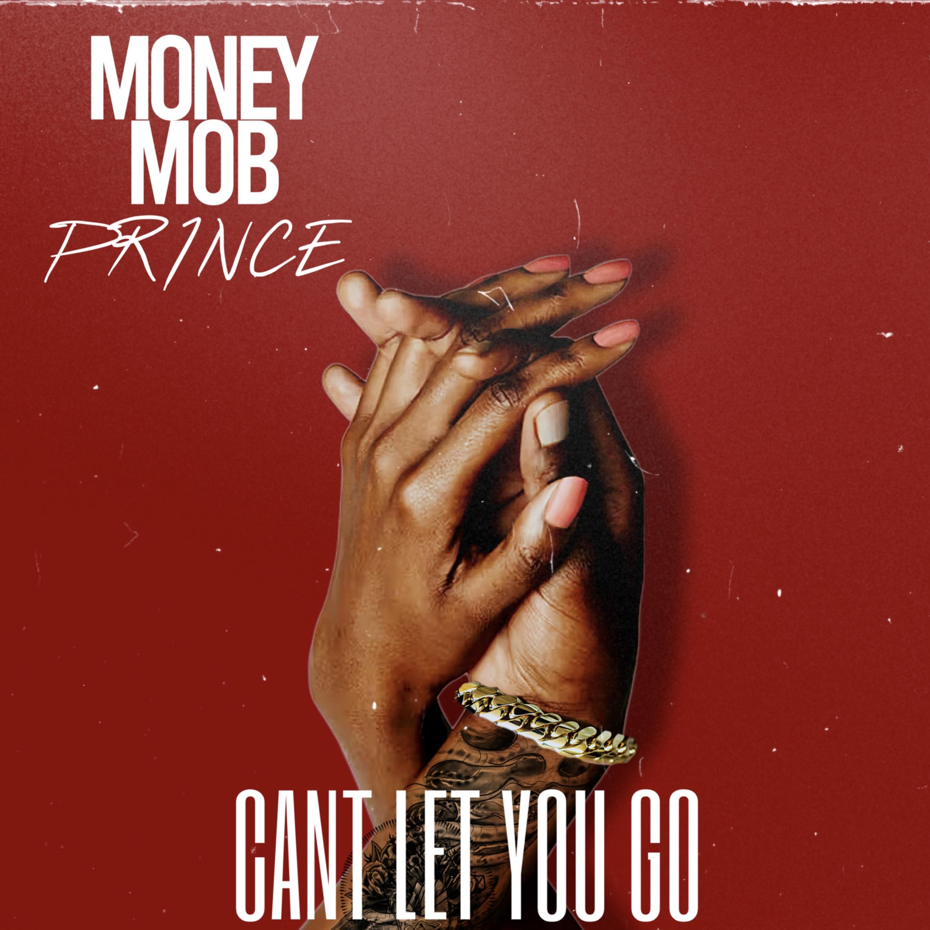 CANT LET YOU GO artwork