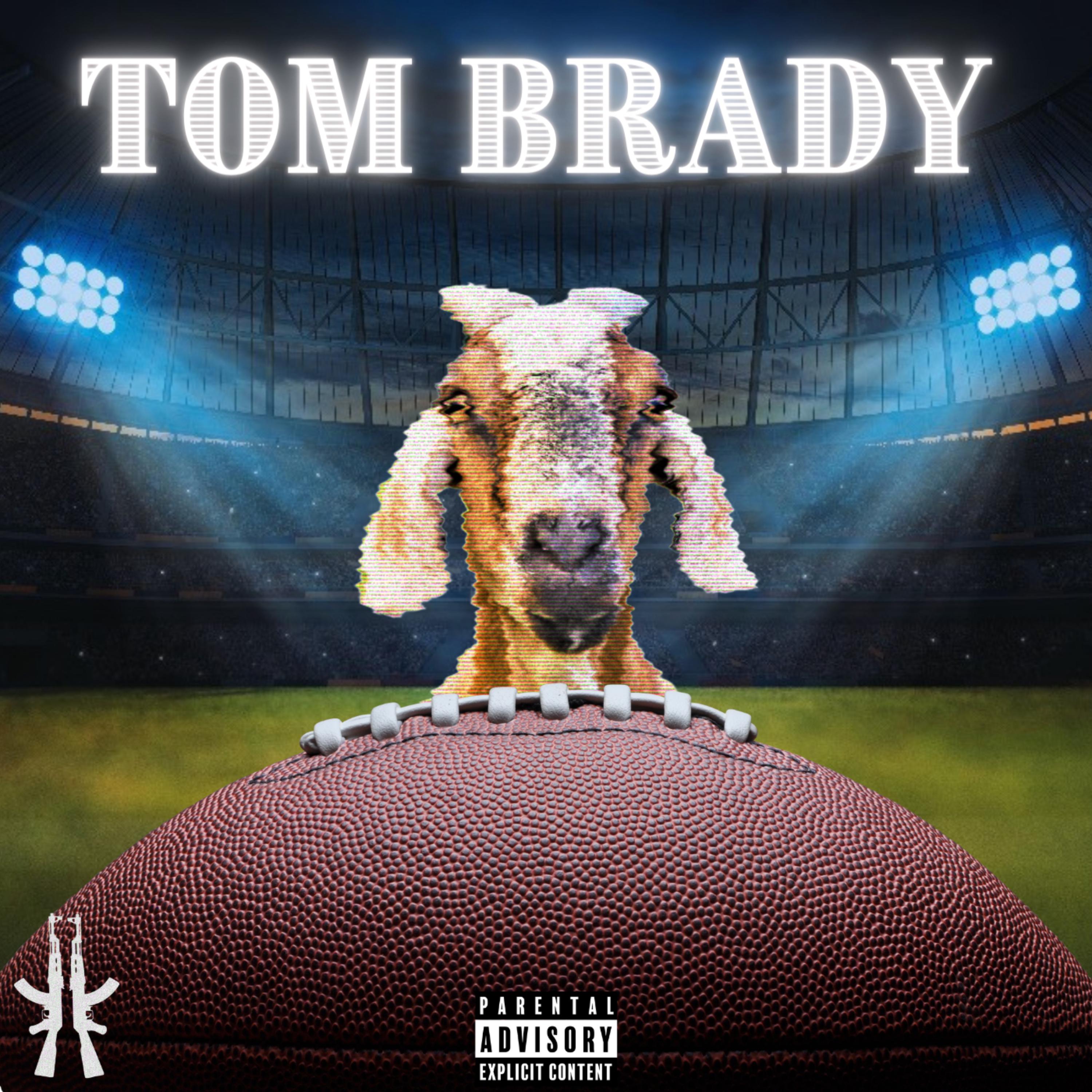 TOM BRADY artwork