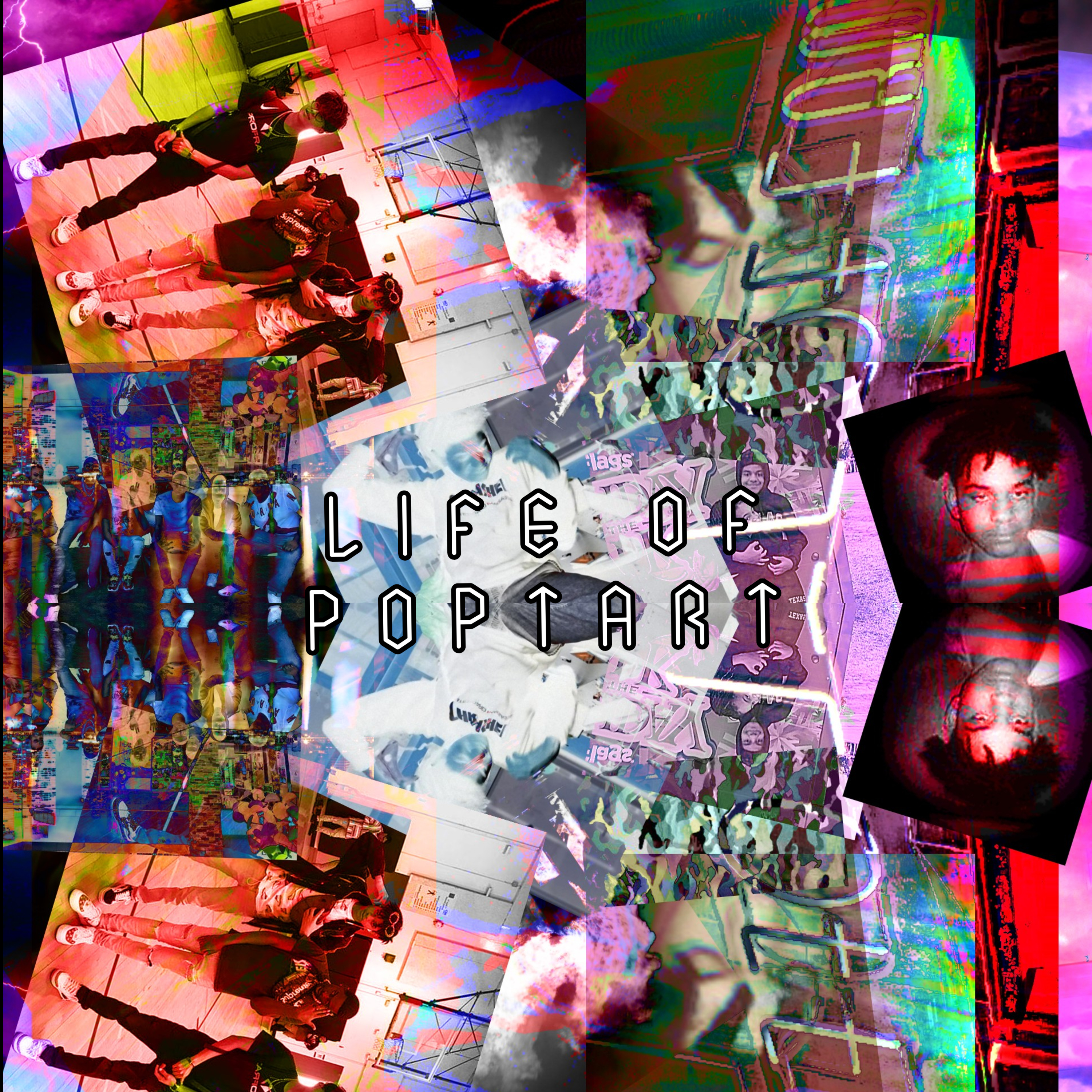 Life Of Poptart artwork