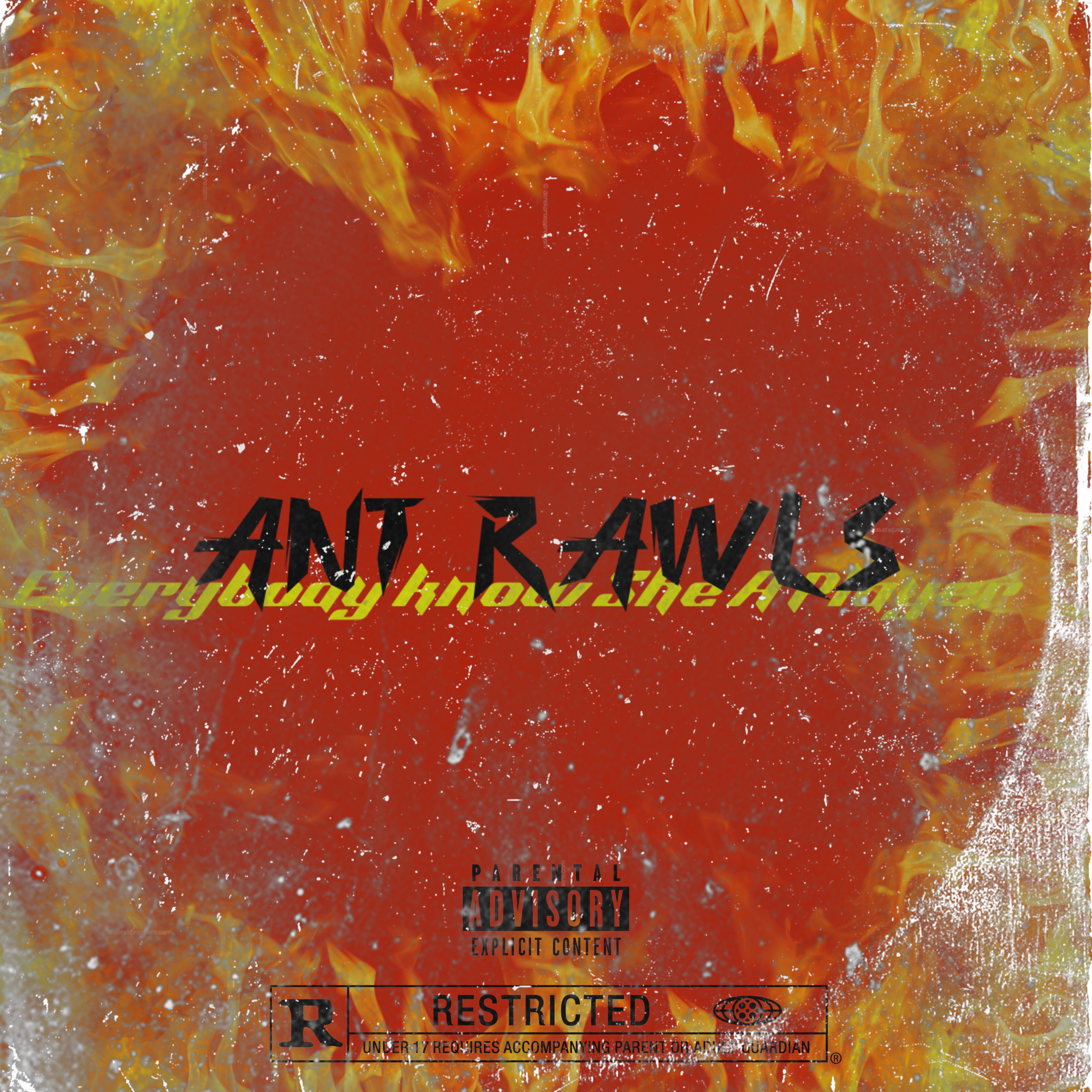 Everybody know She A Player artwork