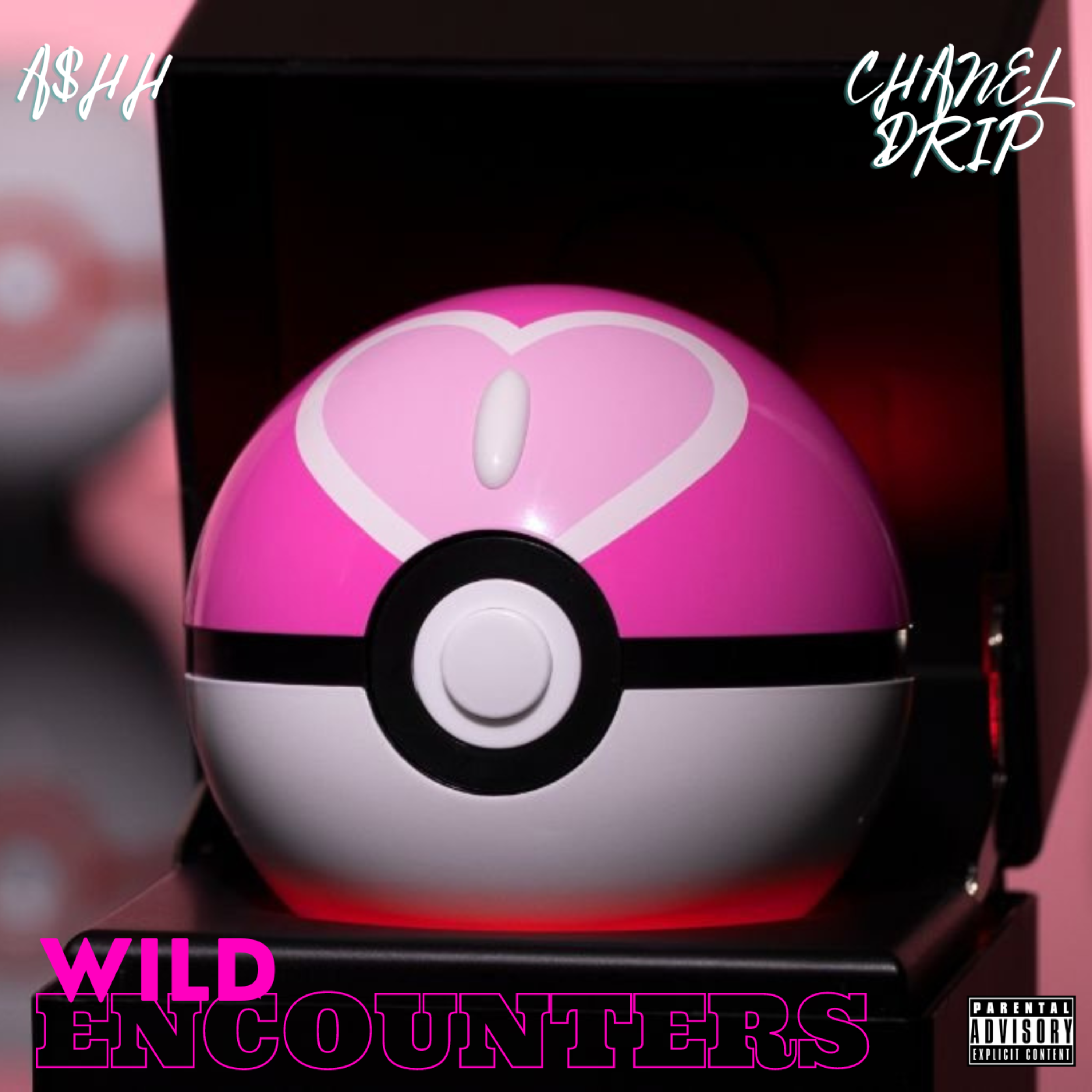 WILD ENCOUNTERS artwork