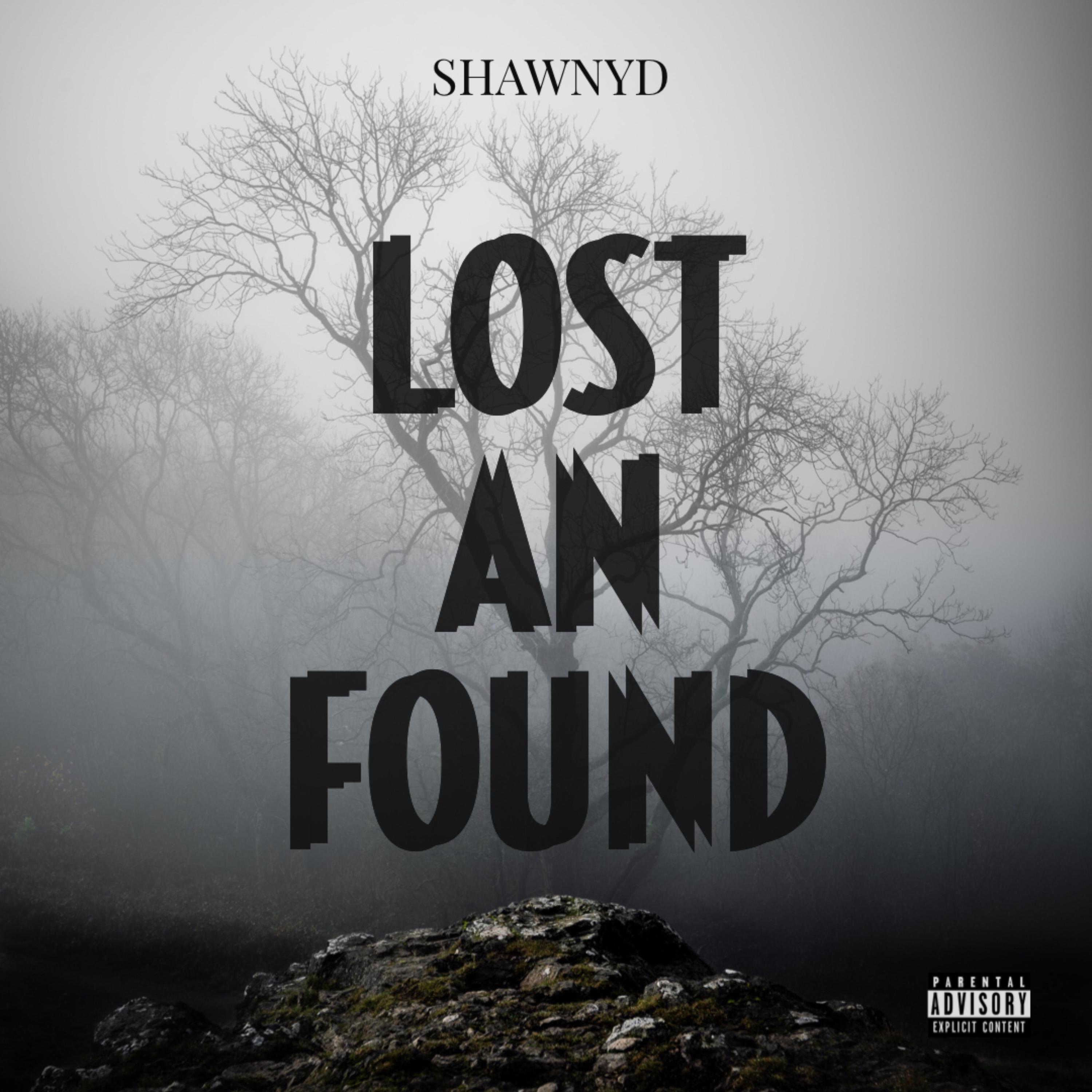 LOST AN FOUND artwork