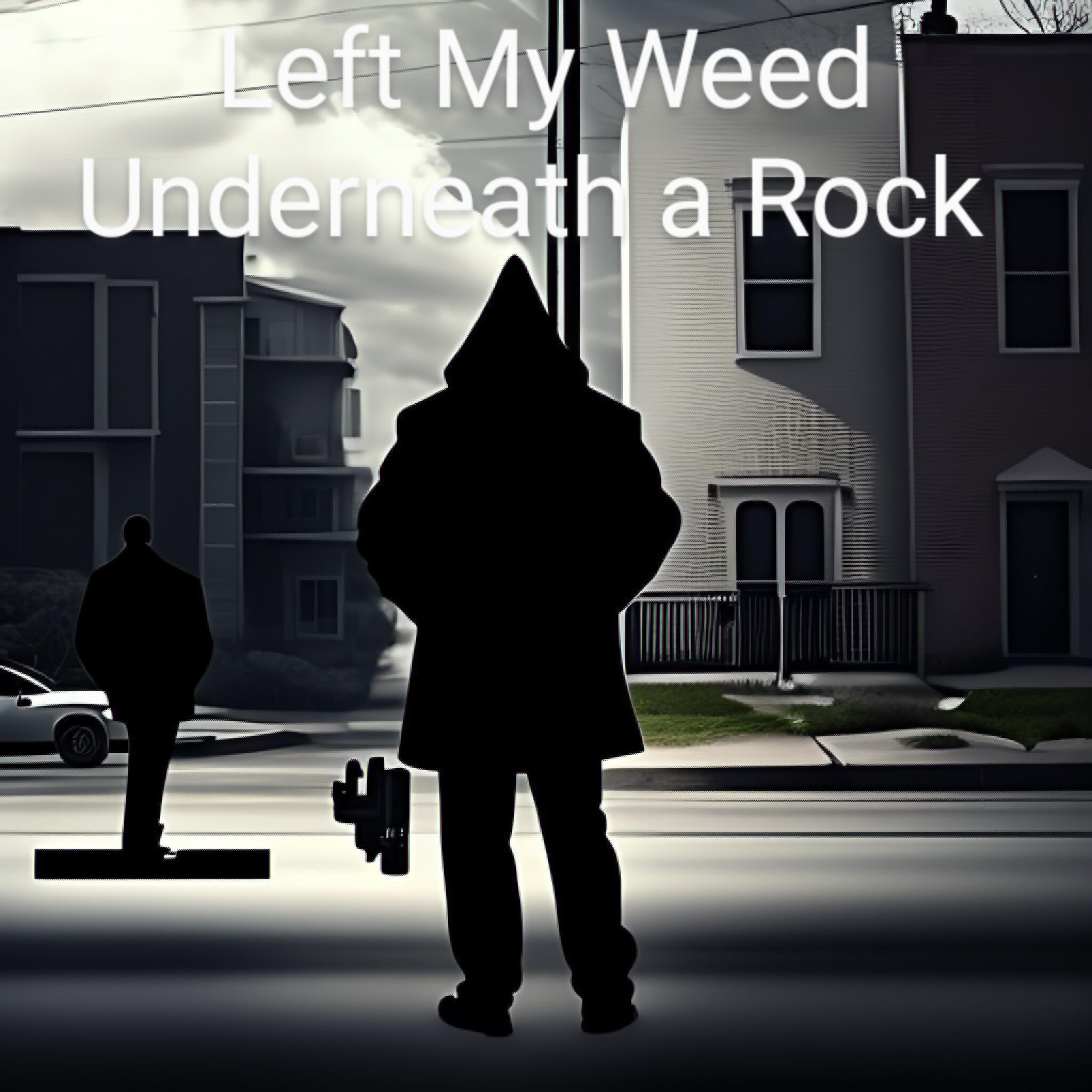 Left My Weed Underneath a Rock artwork