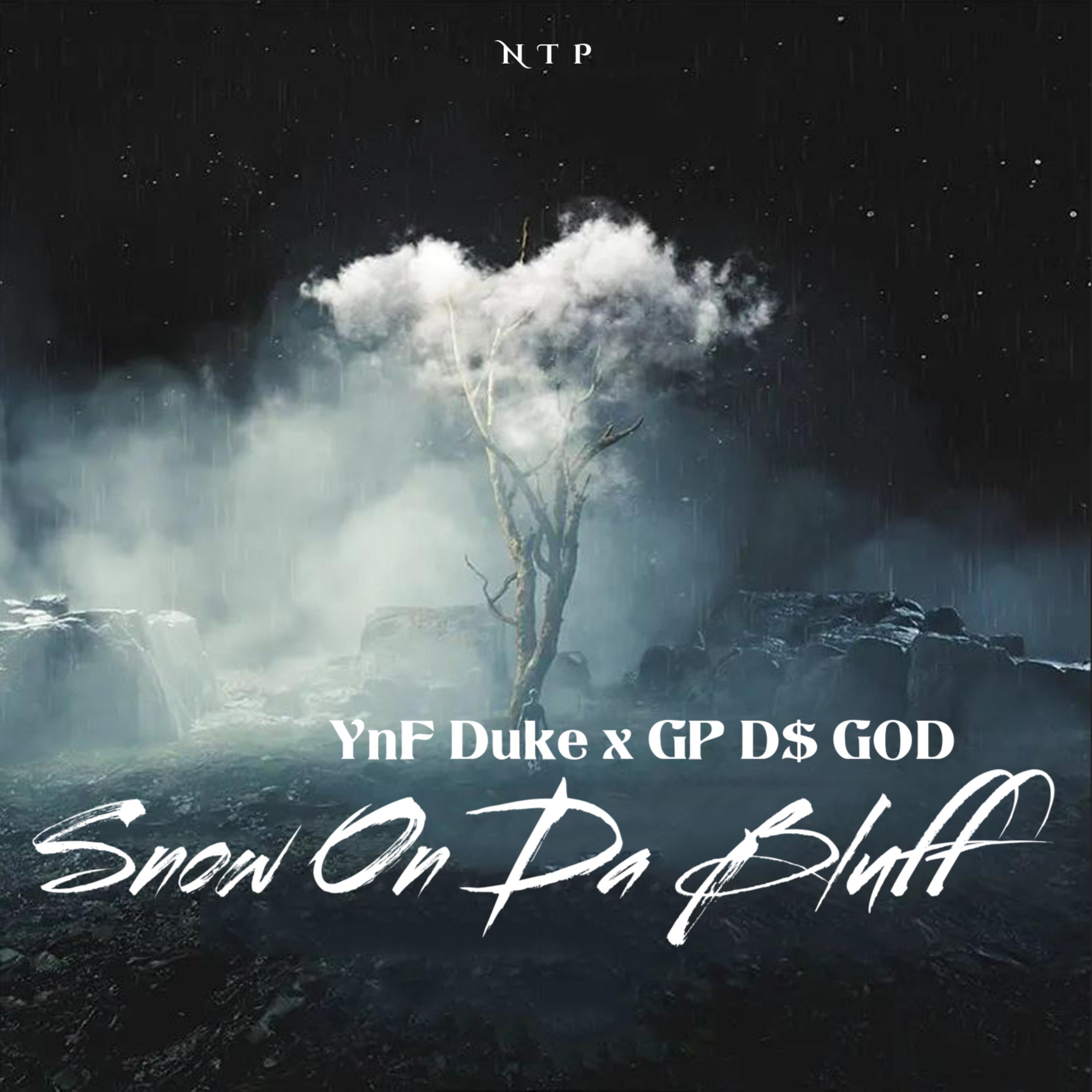 Snow On Da Bluff artwork