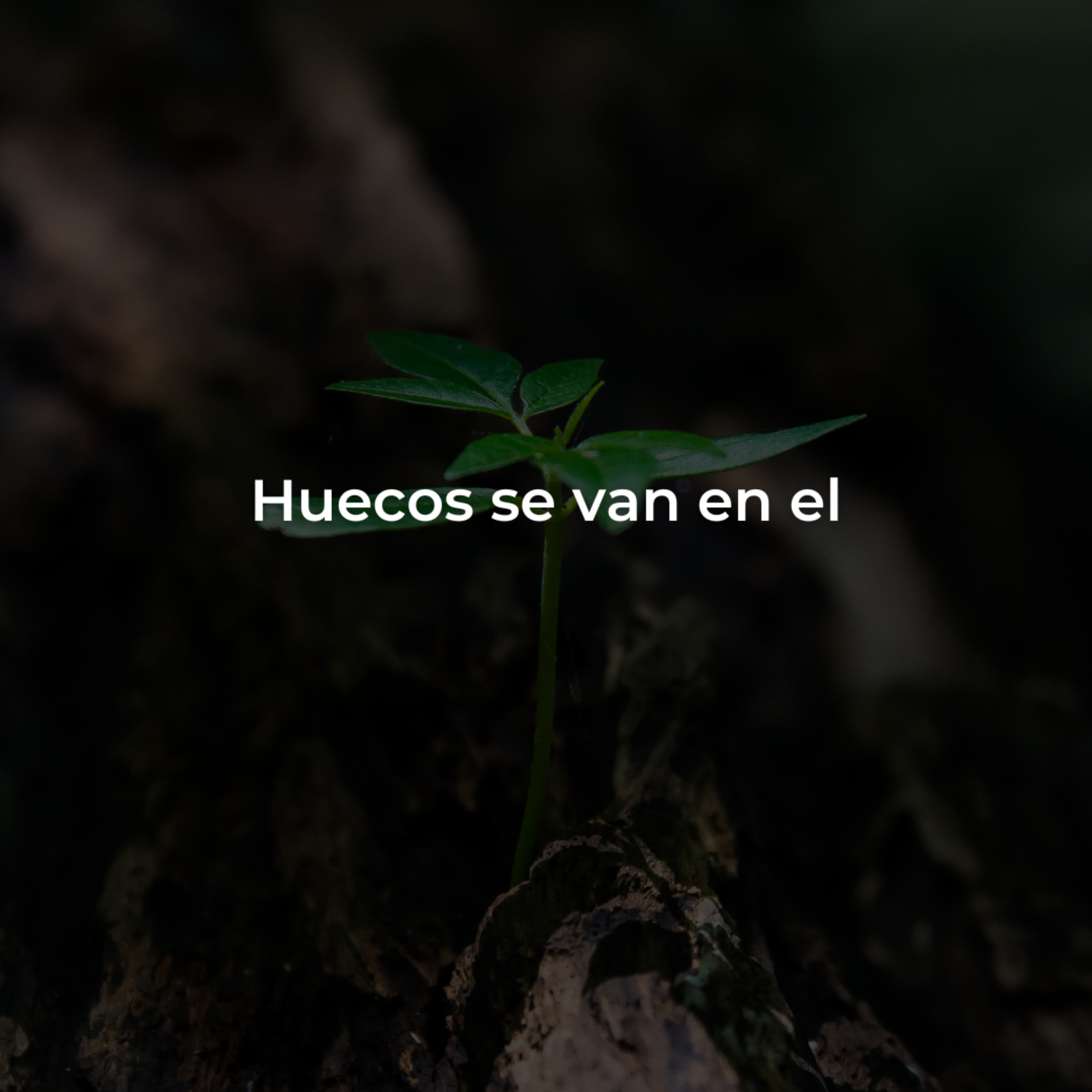 Huecos Se Van En El artwork