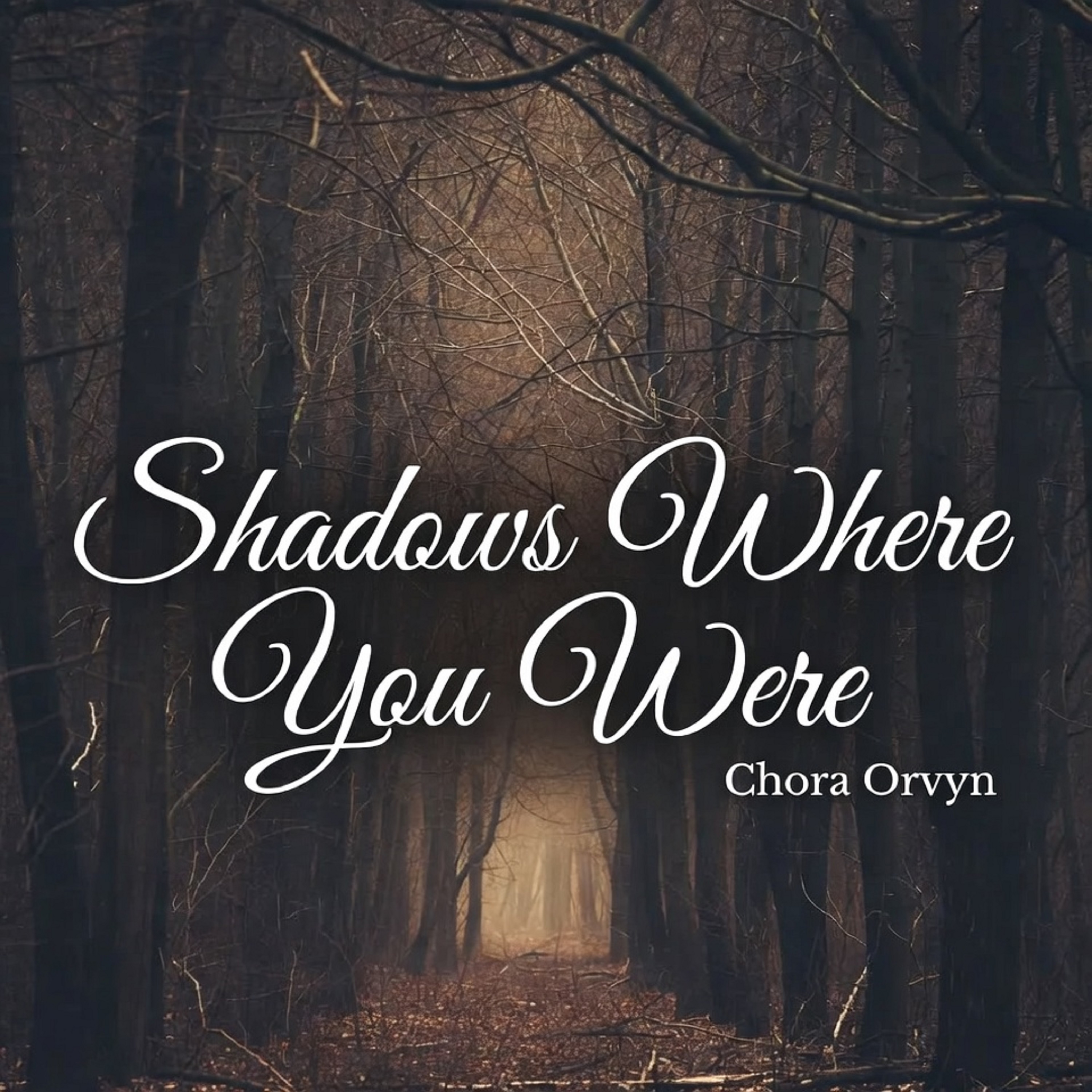 Shadows Where You Were artwork