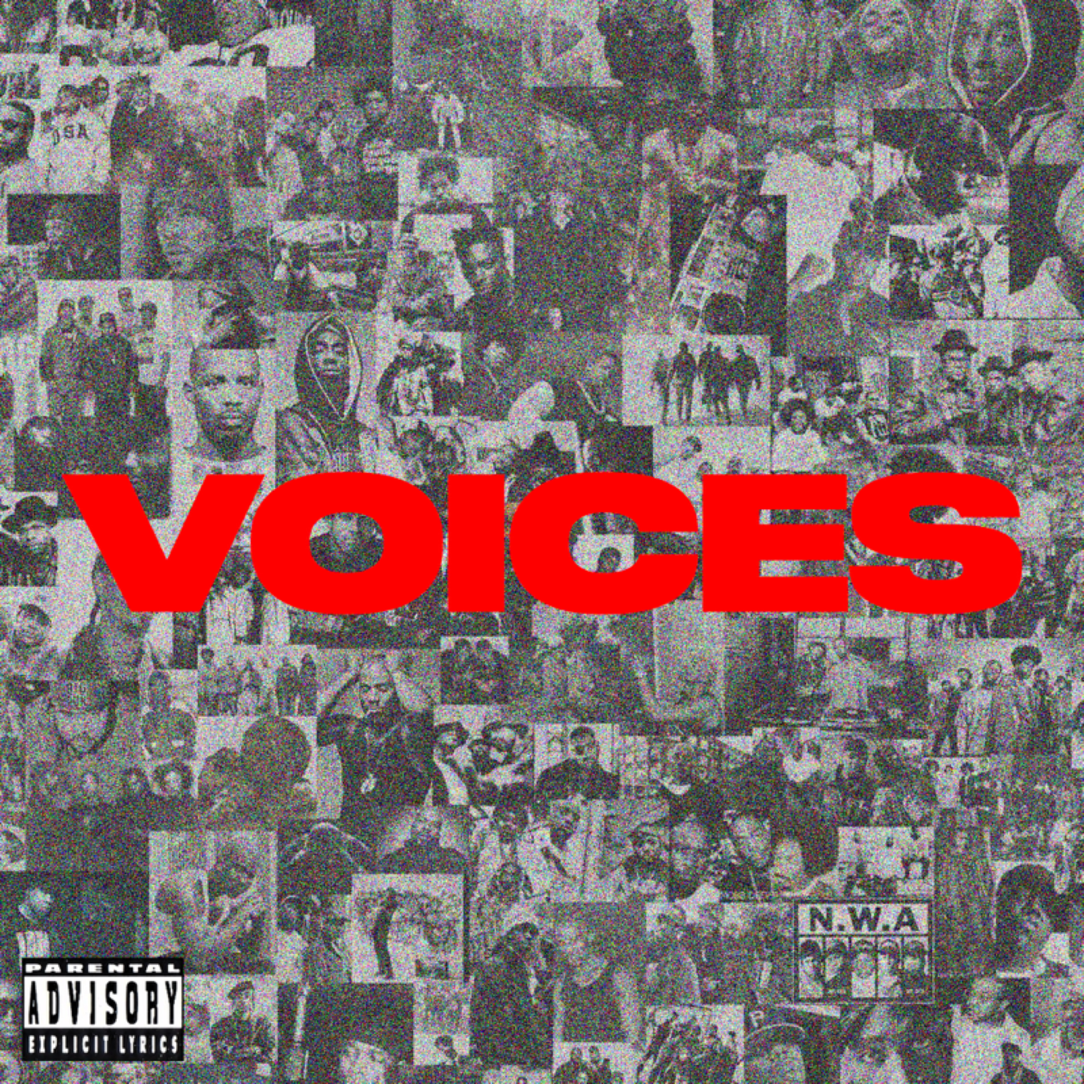 Voices artwork