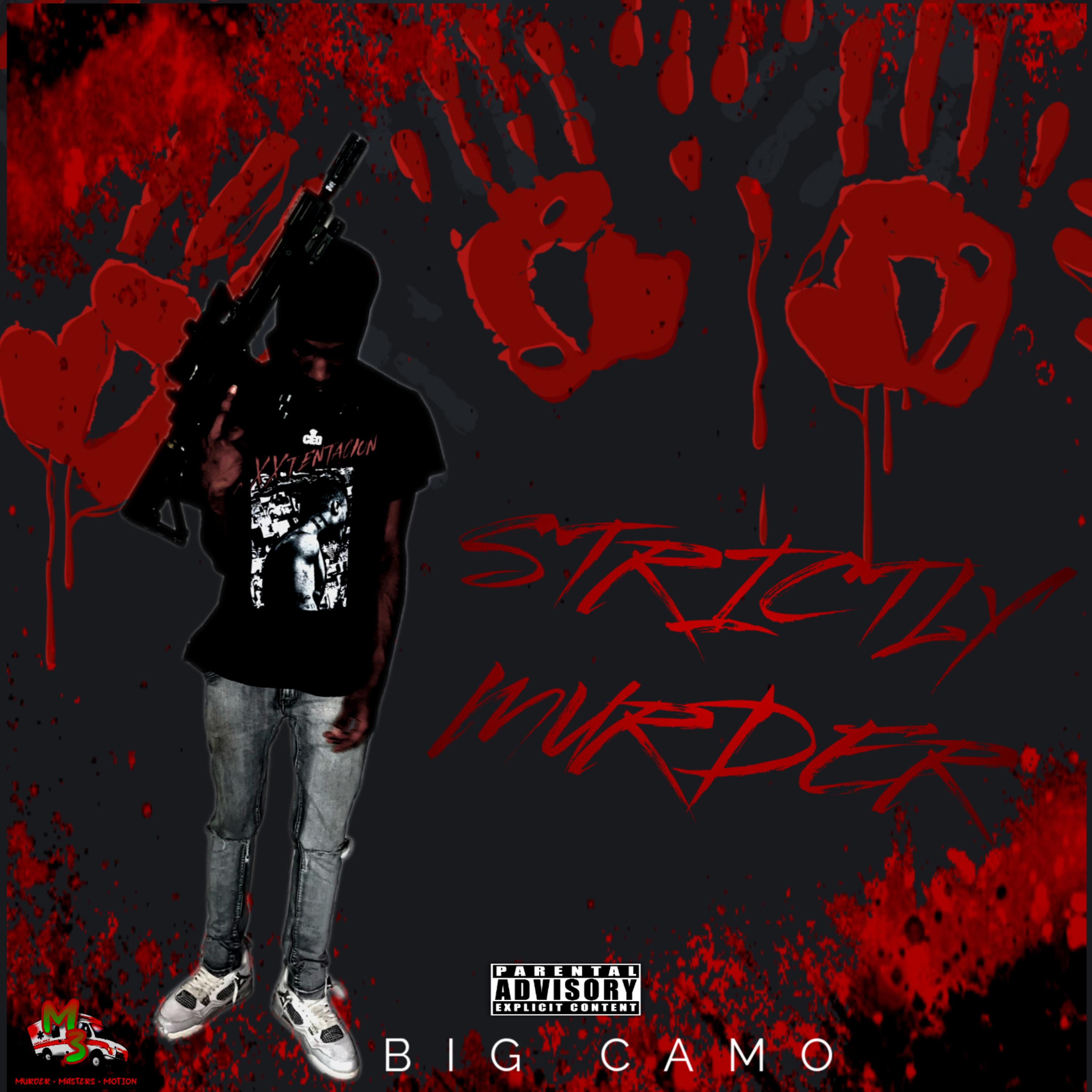 STRICTLY MURDER artwork