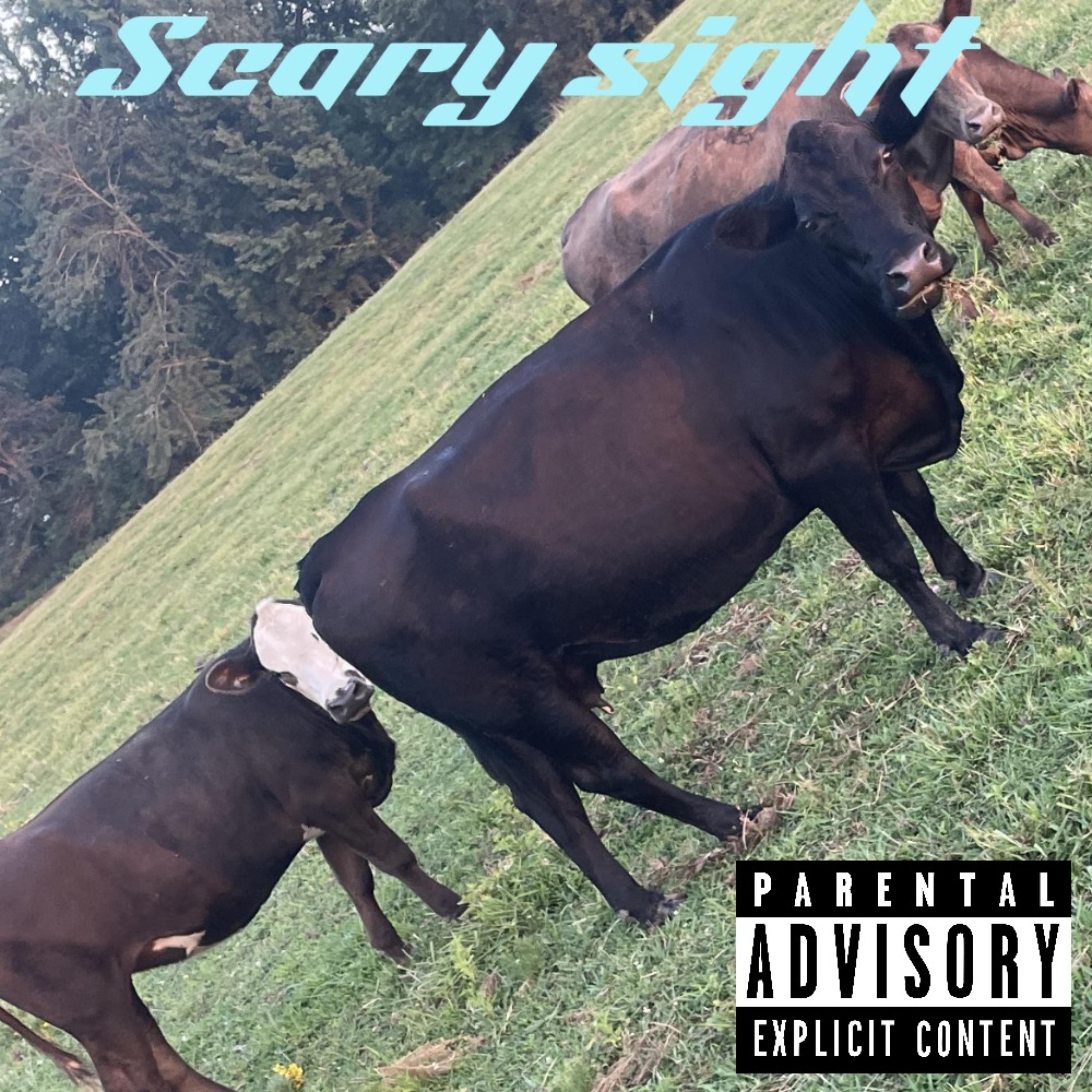 Scary Sight artwork