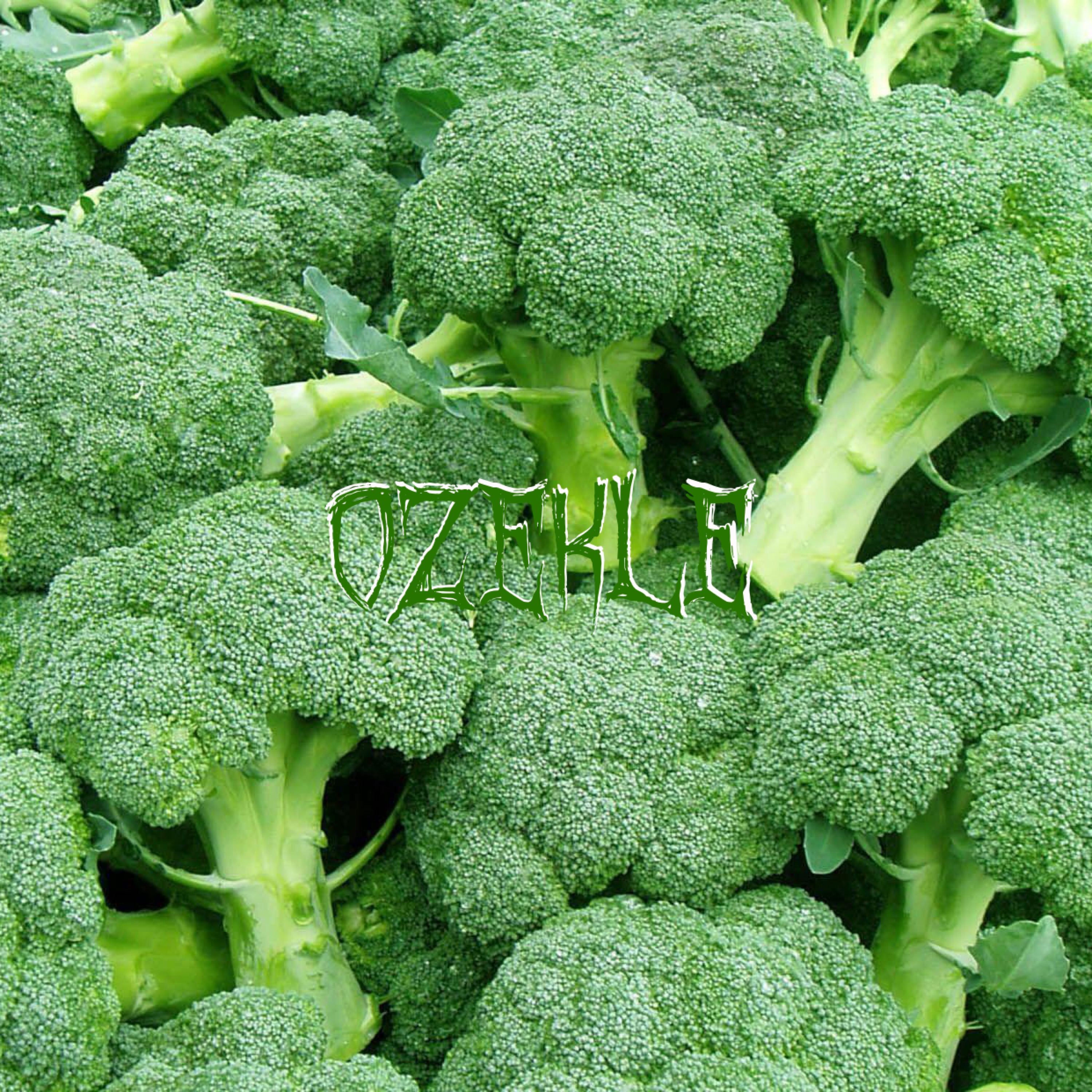 StillPushing artwork