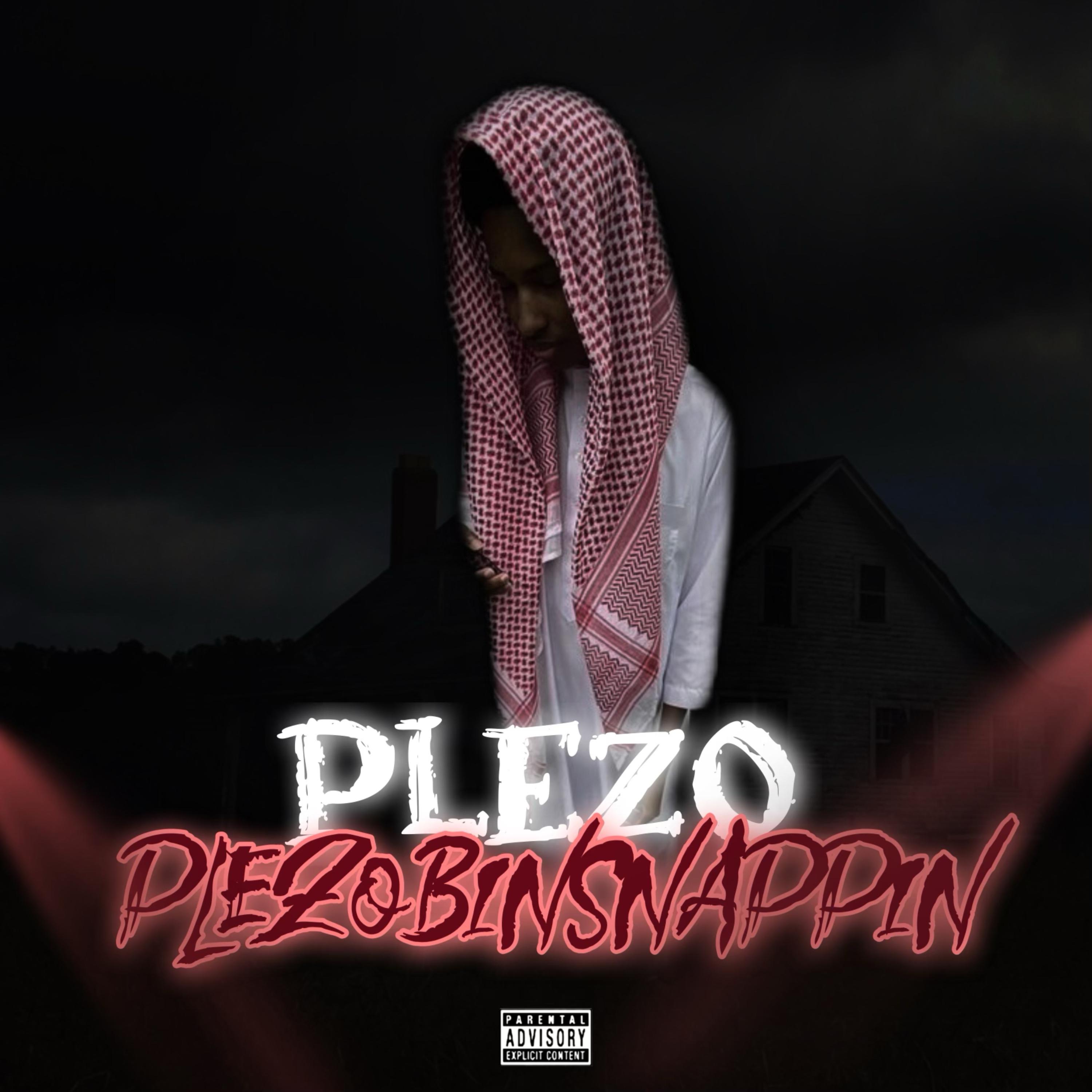 Binsnappin artwork