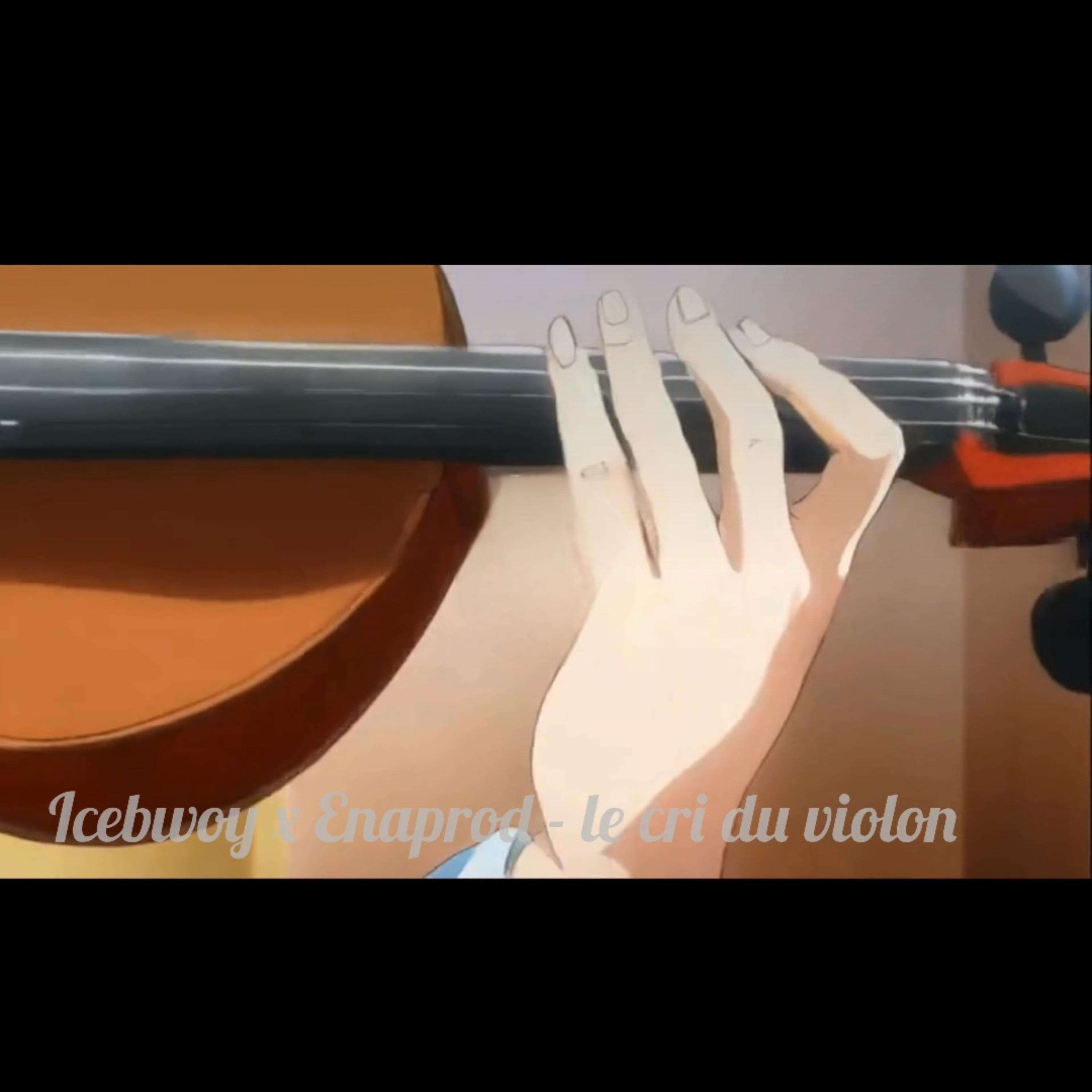le cri du violon artwork