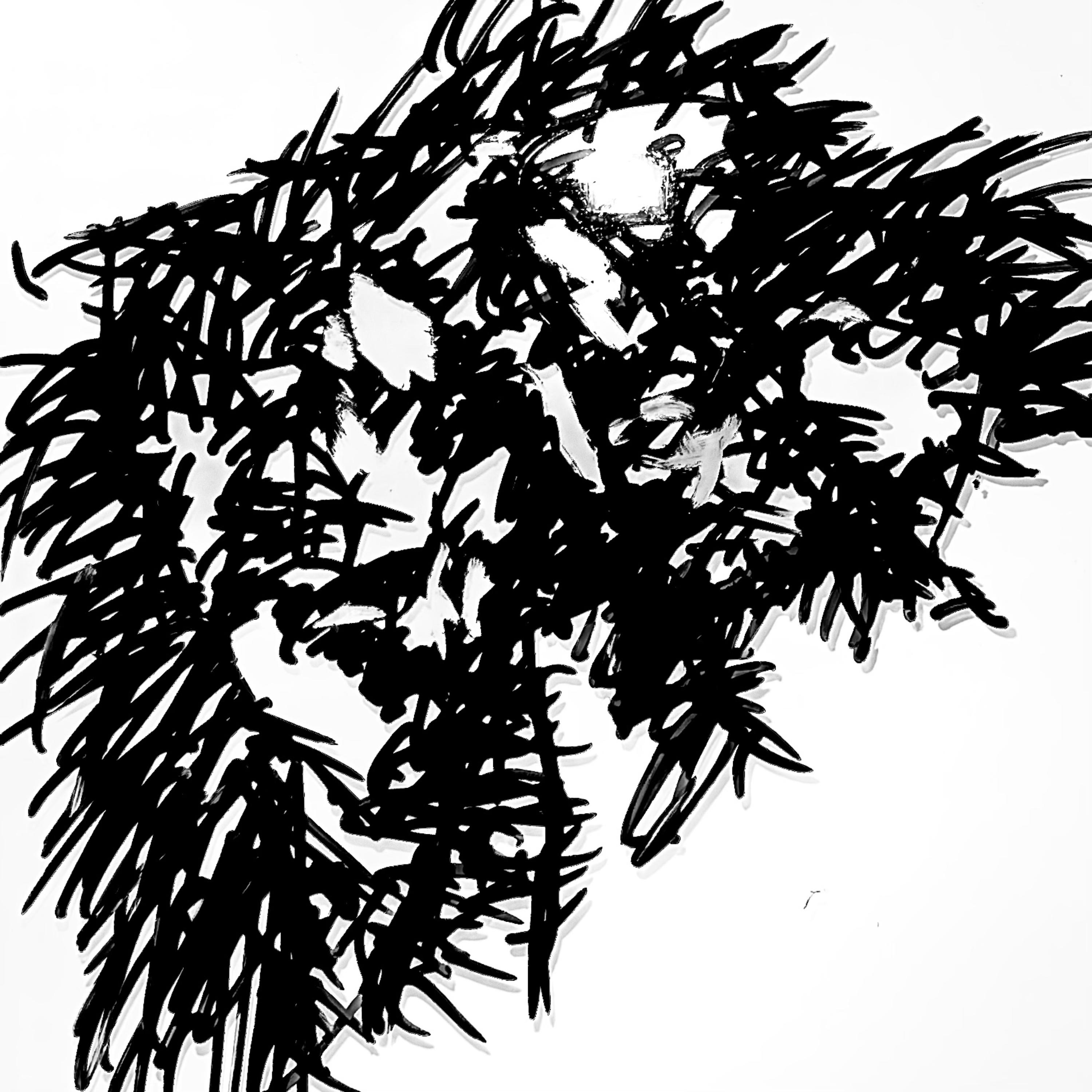 XSIX artwork