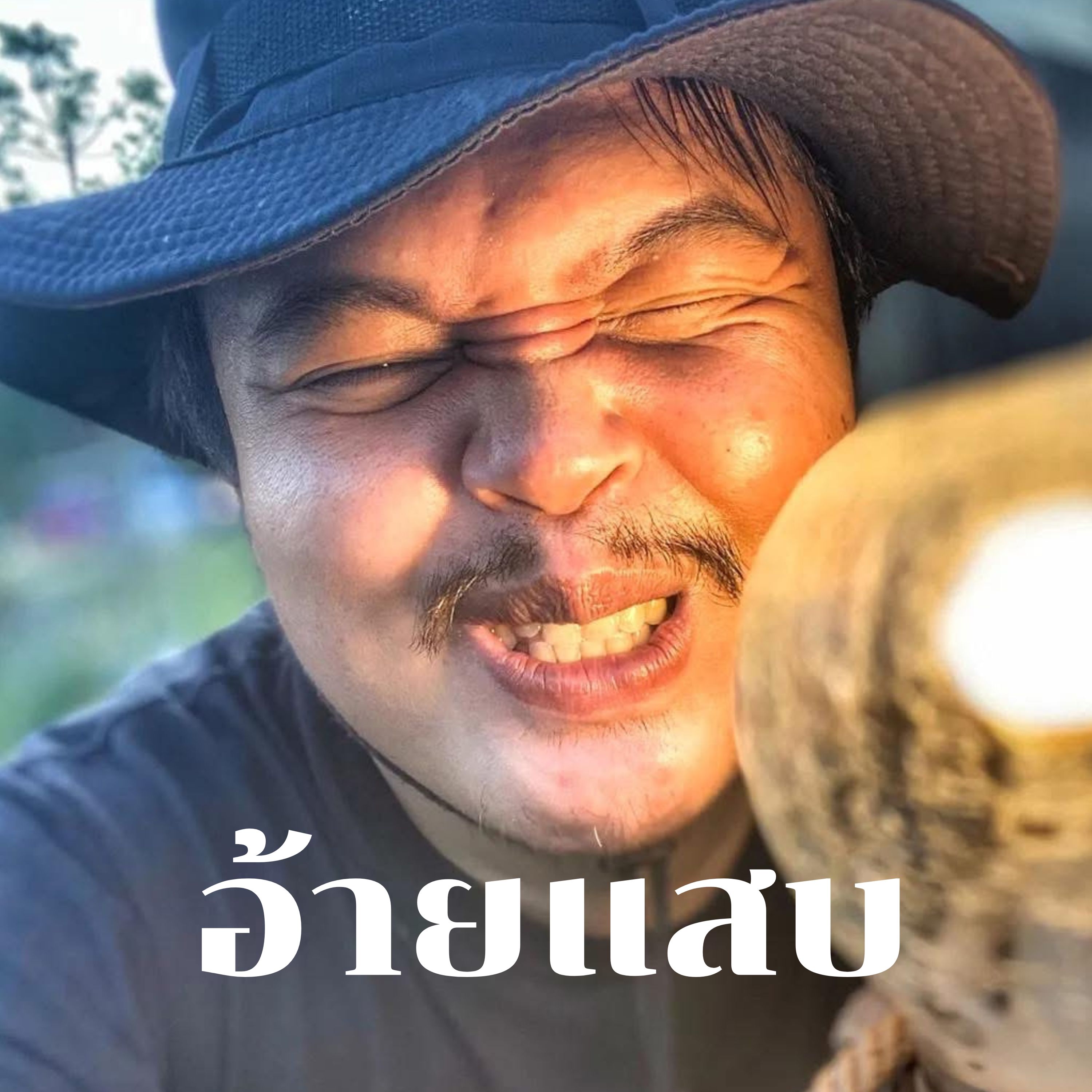 อ้ายแสบ artwork