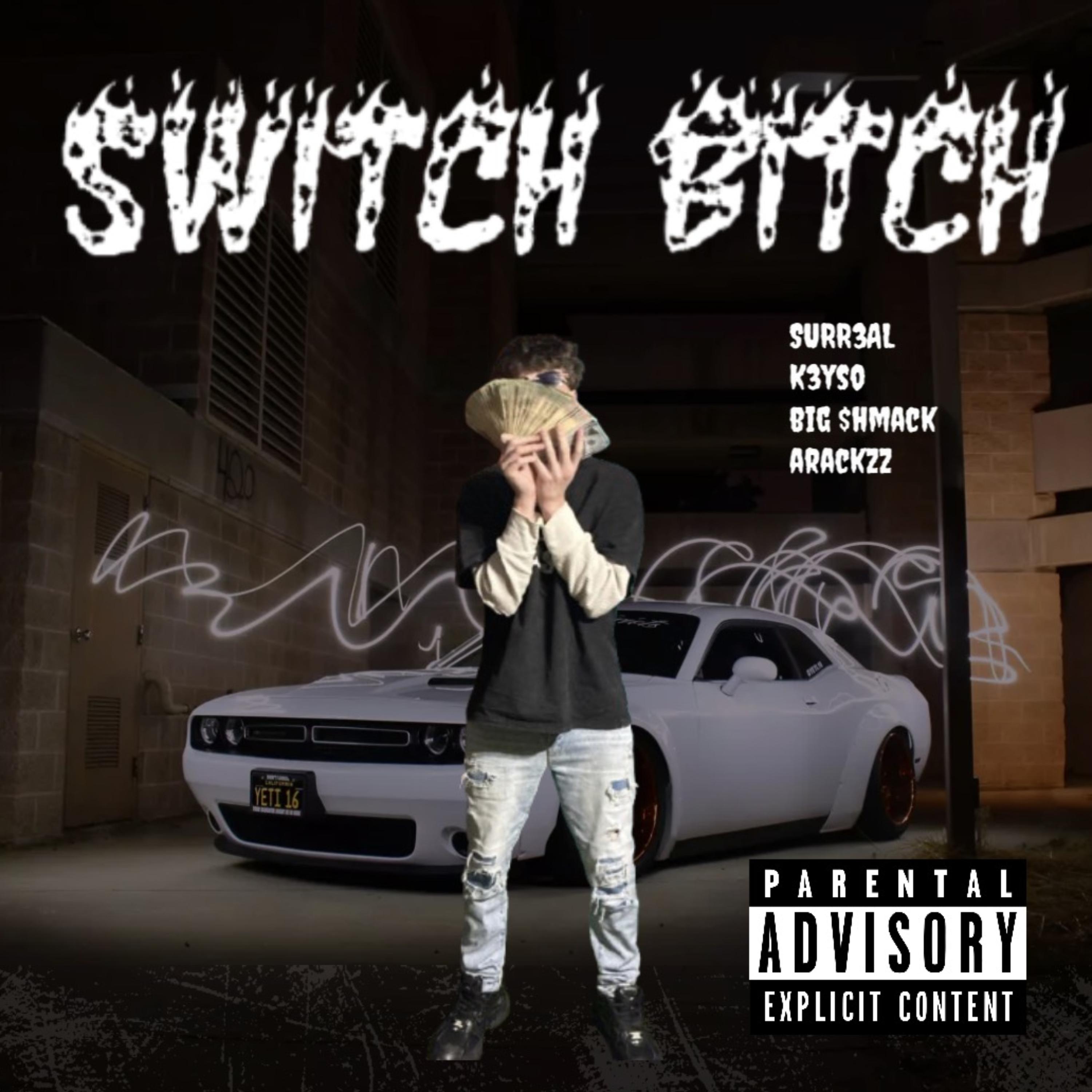 Switch Bitch by SURR3AL cover art