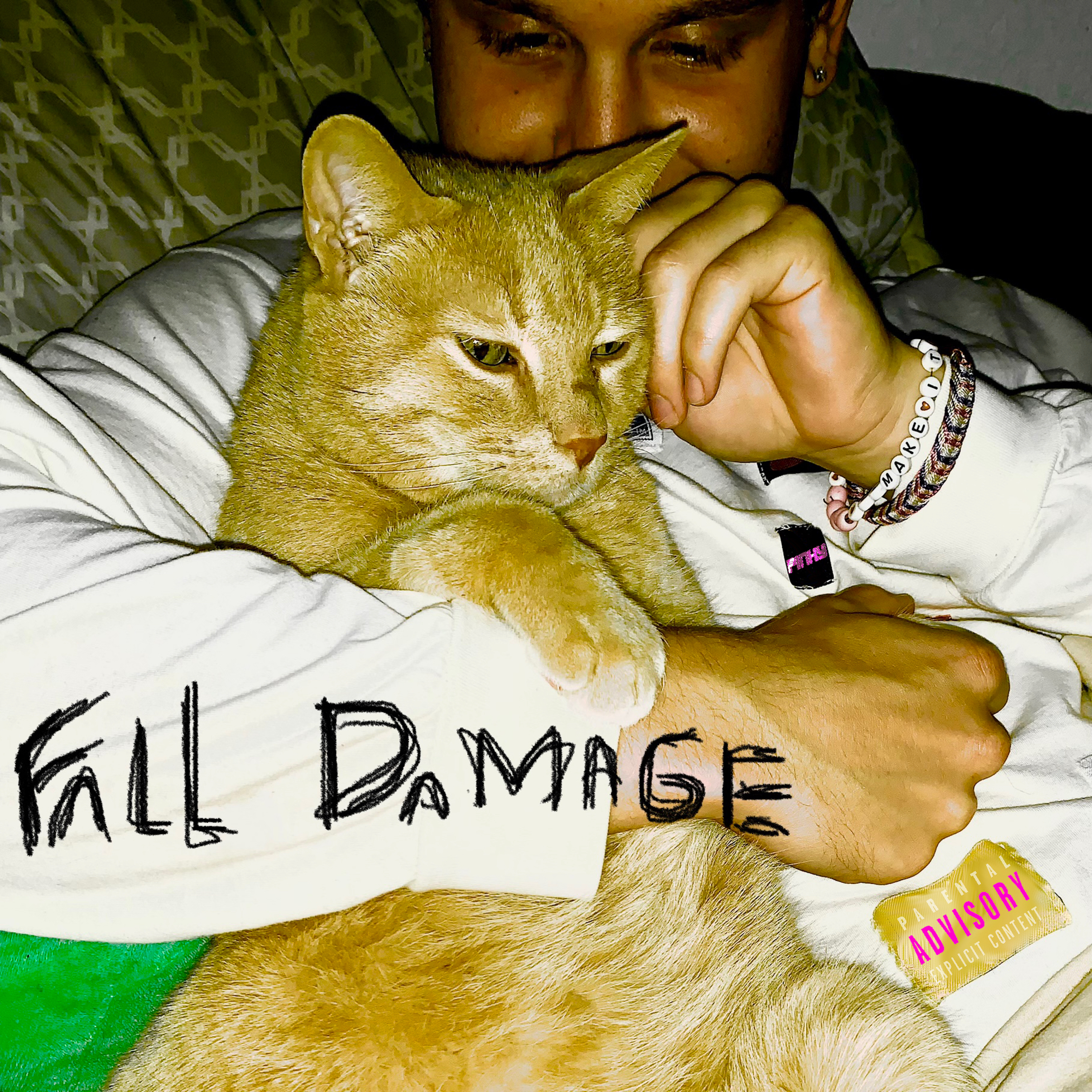 FALL DAMAGE artwork