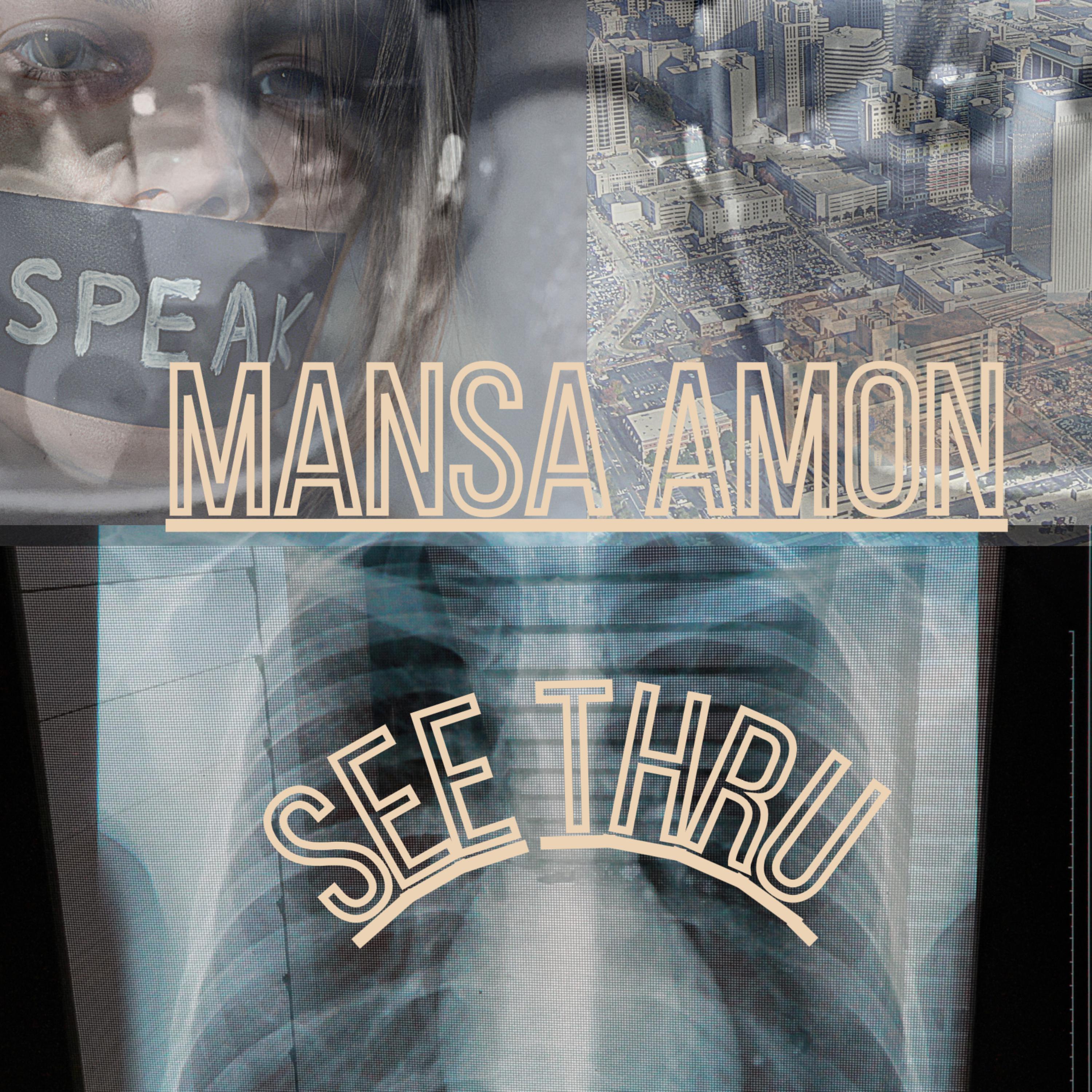 See Thru artwork