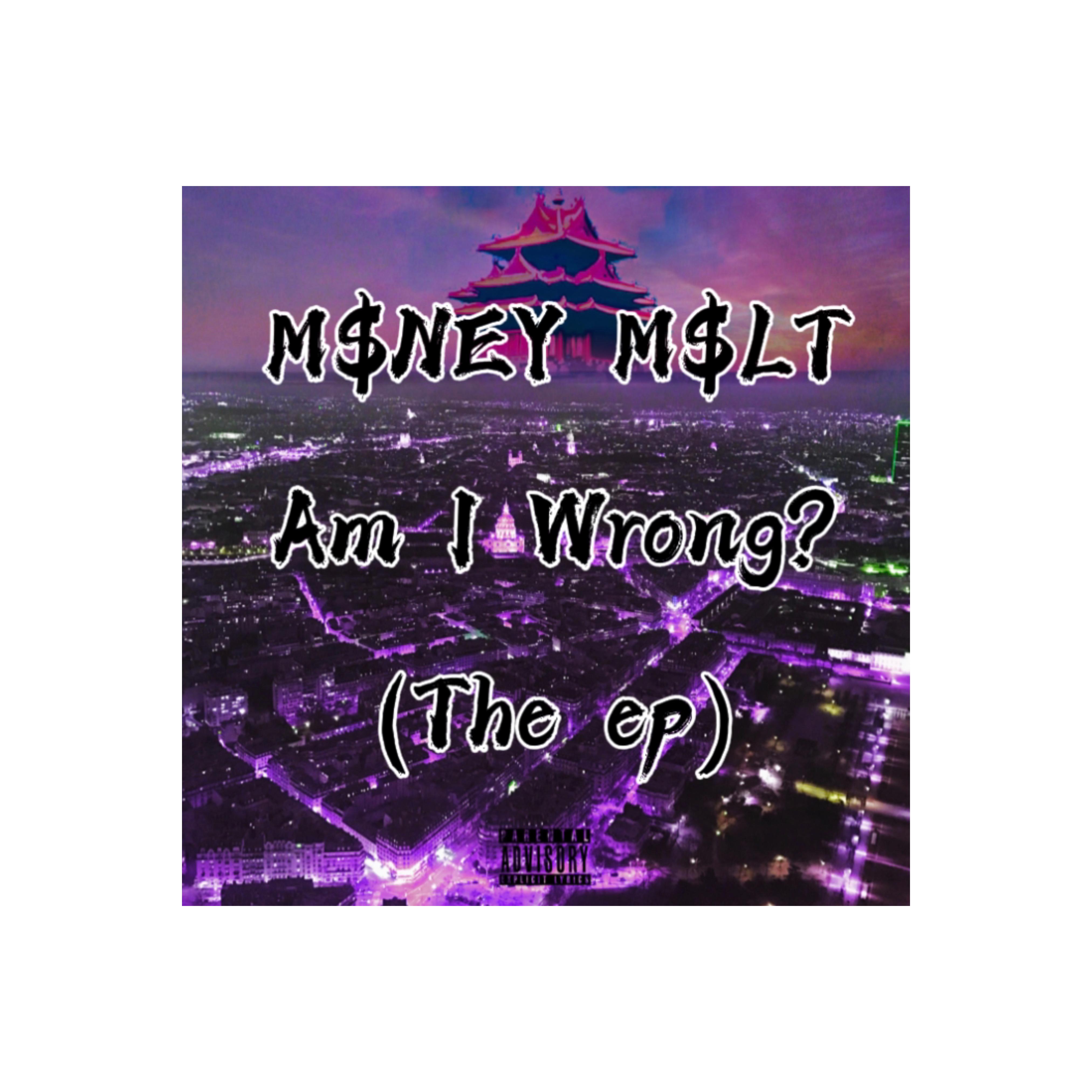 Am I Wrong artwork