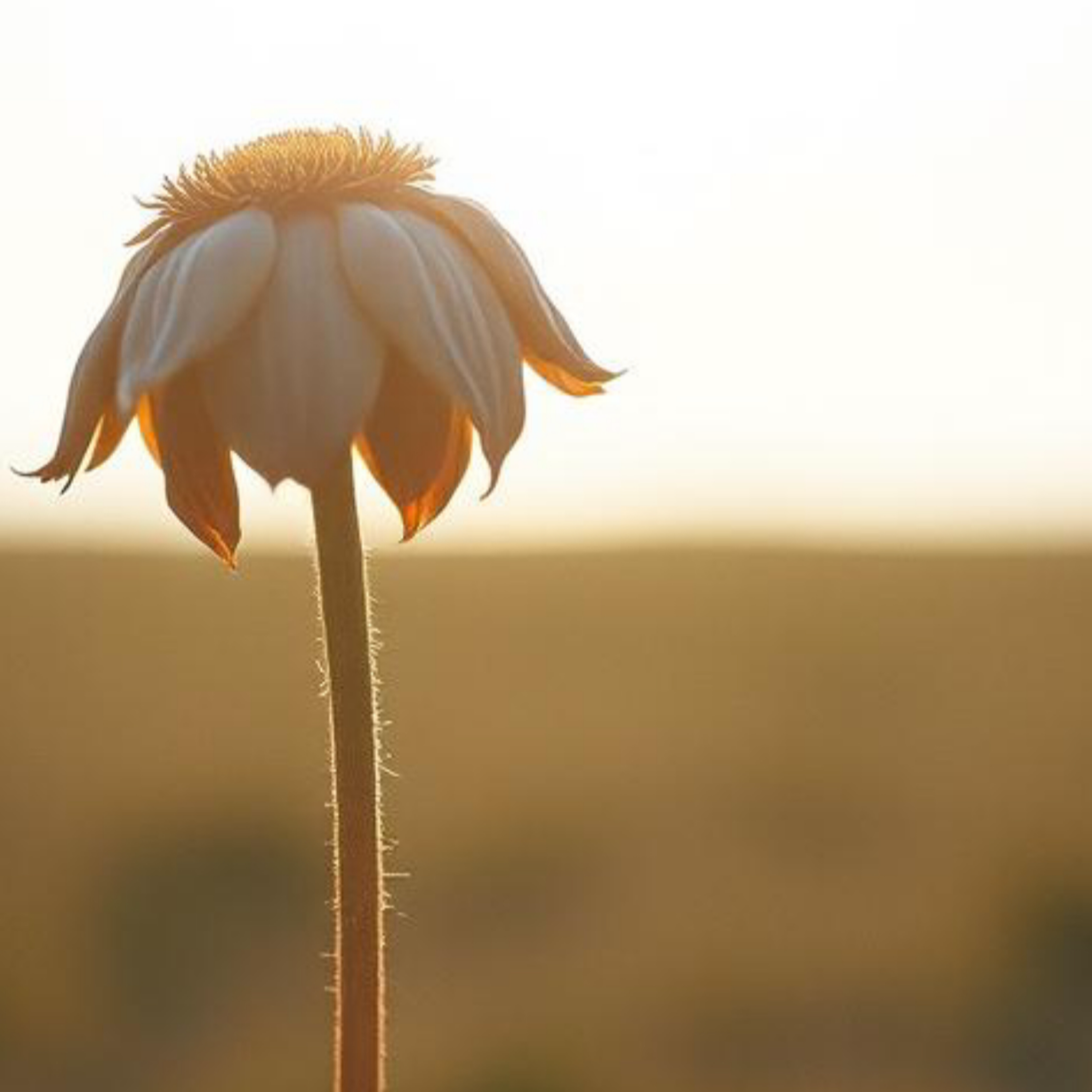 We Were Always Gonna Break artwork