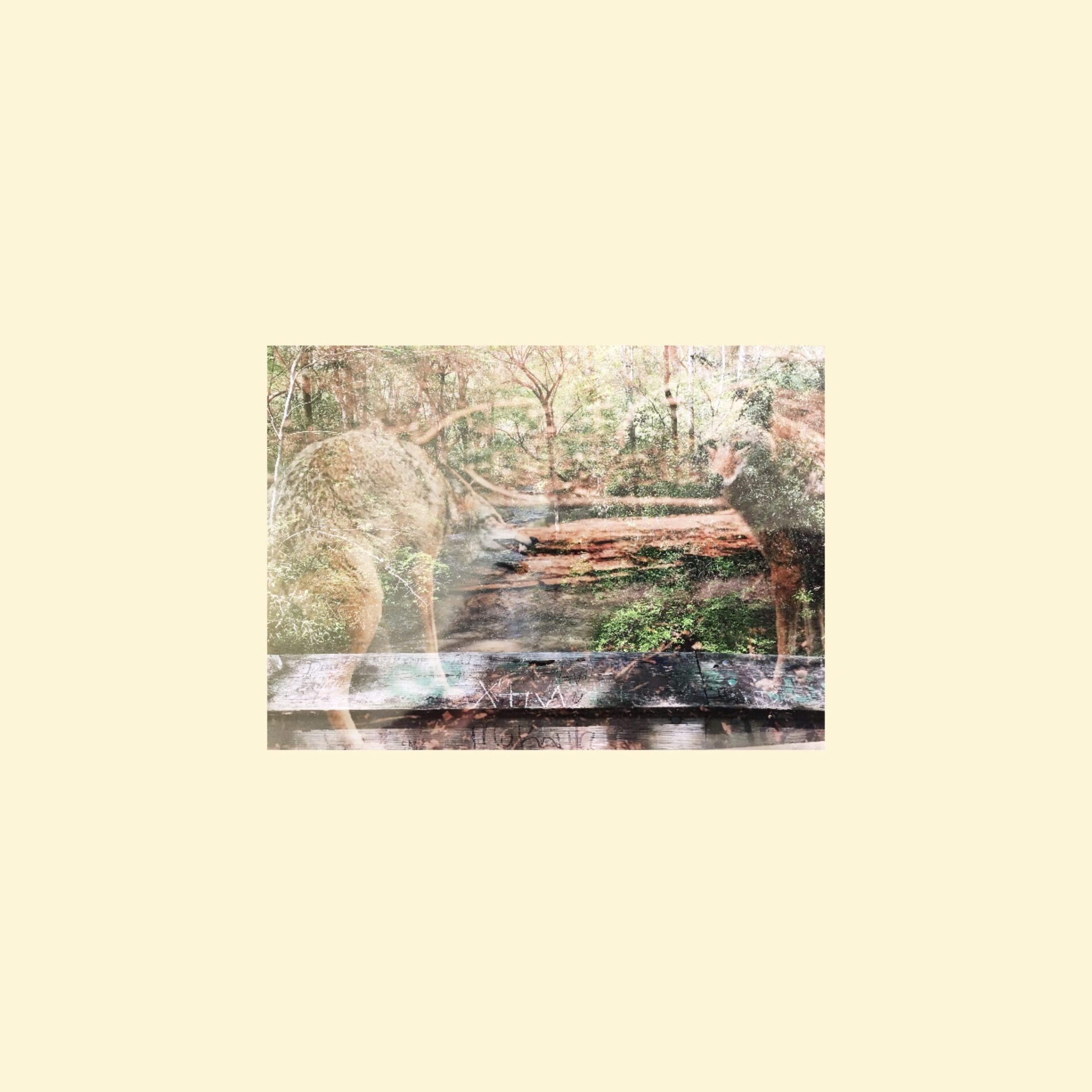 martyr me artwork