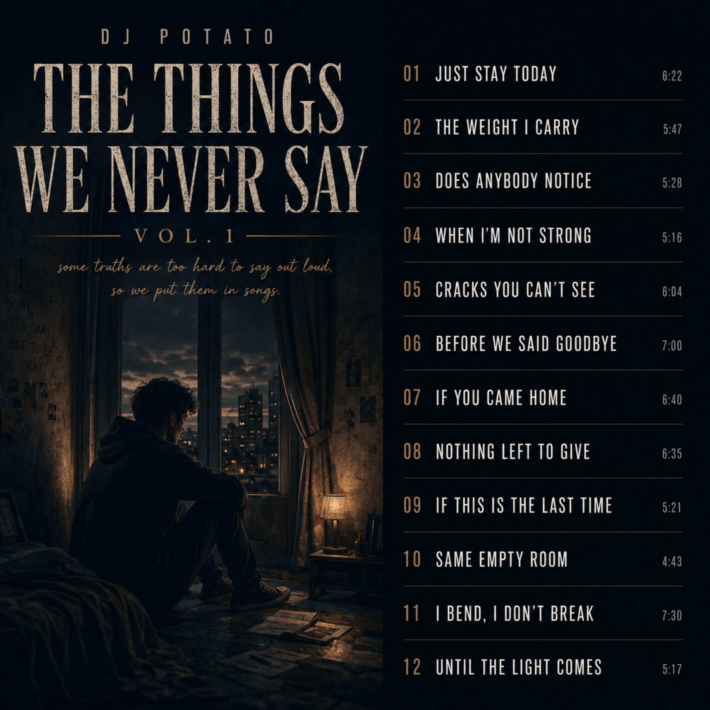 THE THINGS WE NEVER SAY VOL. 1 by Dj Potato cover art