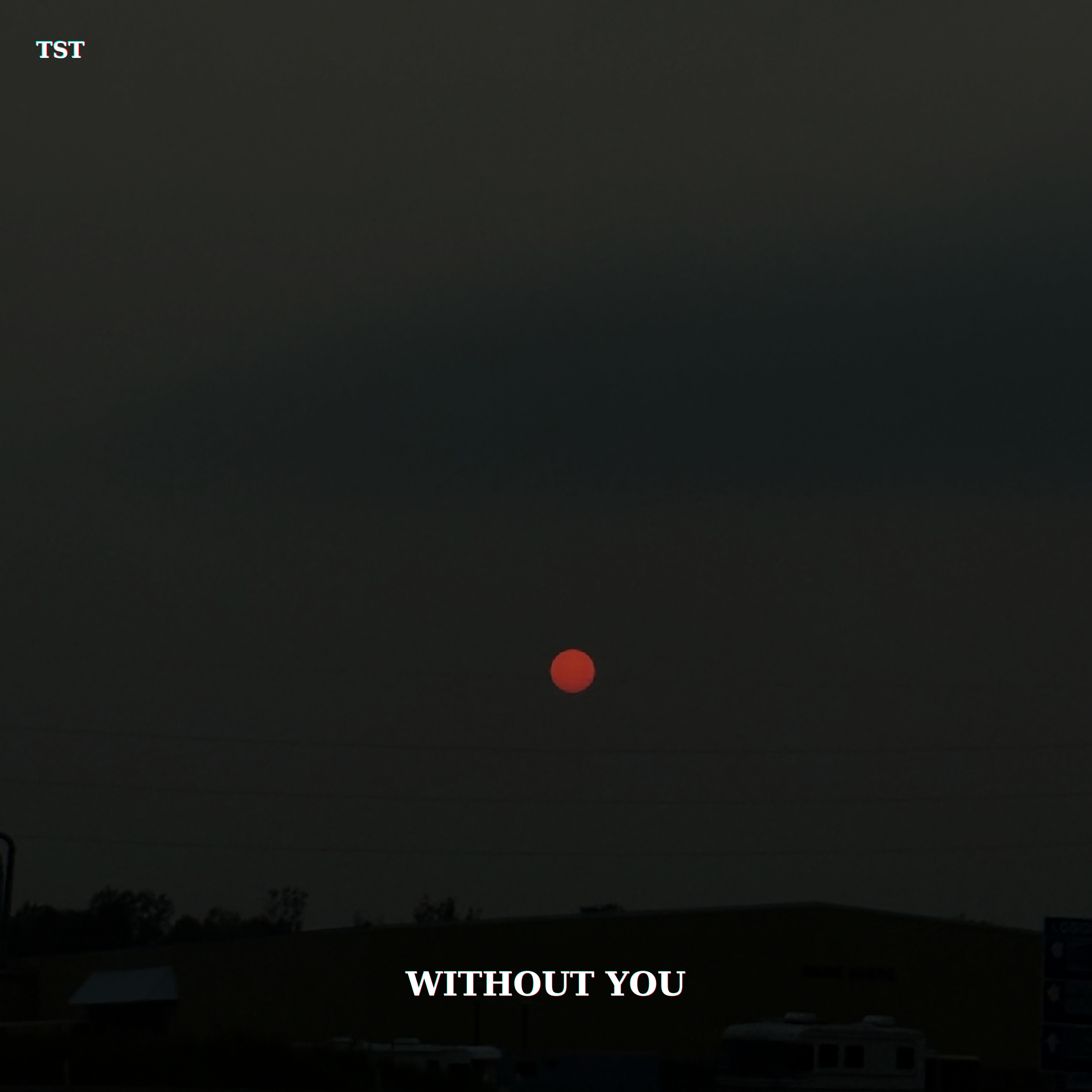 Without You by TST cover art
