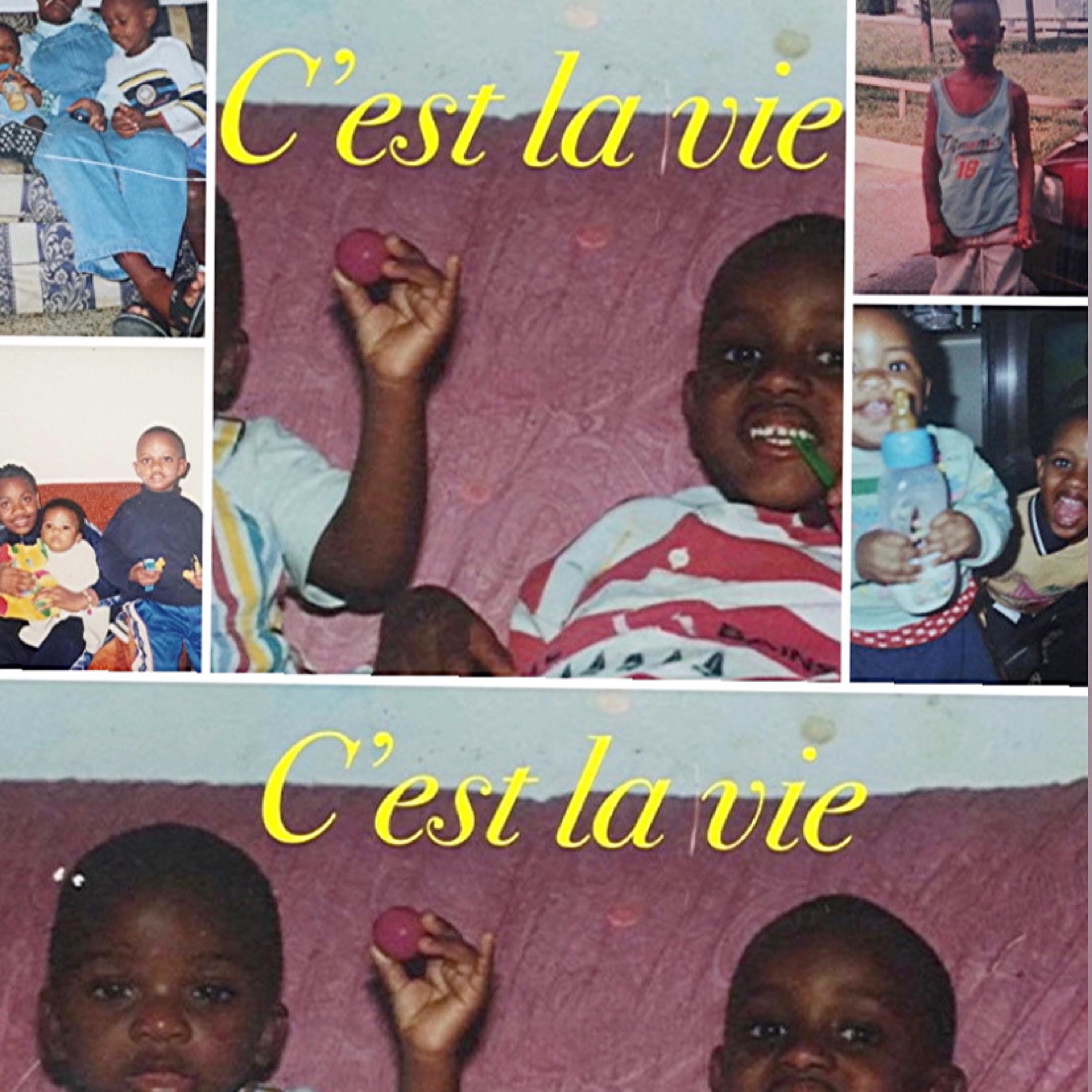 C'Est La Vie artwork